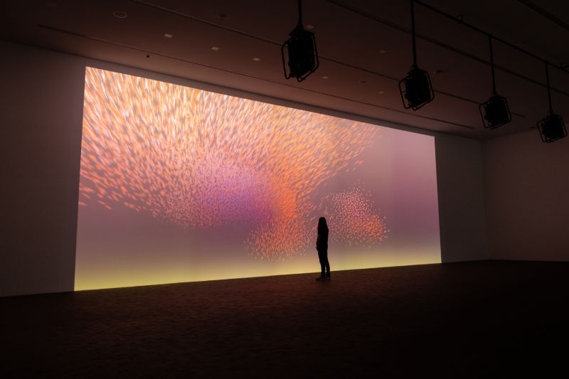 Drift. Esculturas interactivas que evocan a la naturaleza
