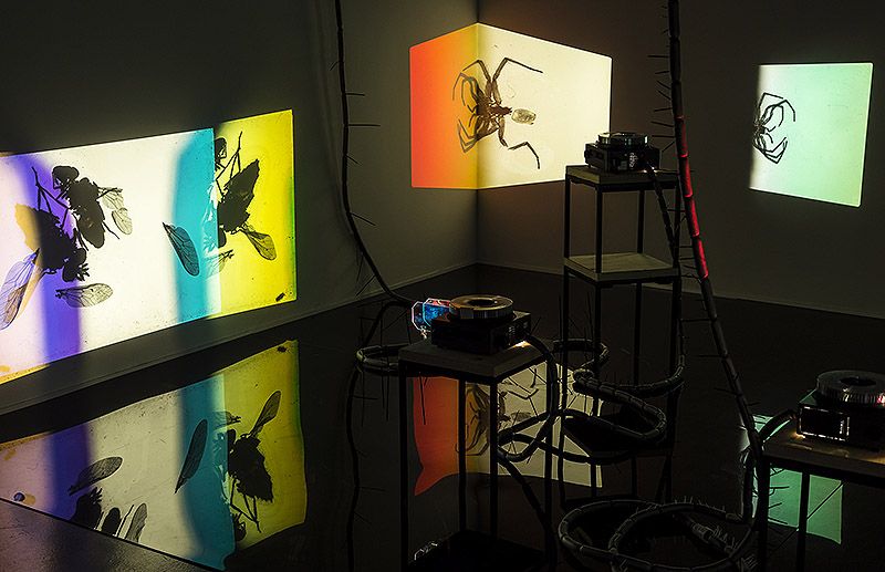 Your practice is characterised by the observation of encounters and interactions between different elements, often everyday objects. Could you elaborate on how you select these materials and what criteria you follow to integrate them into your work?