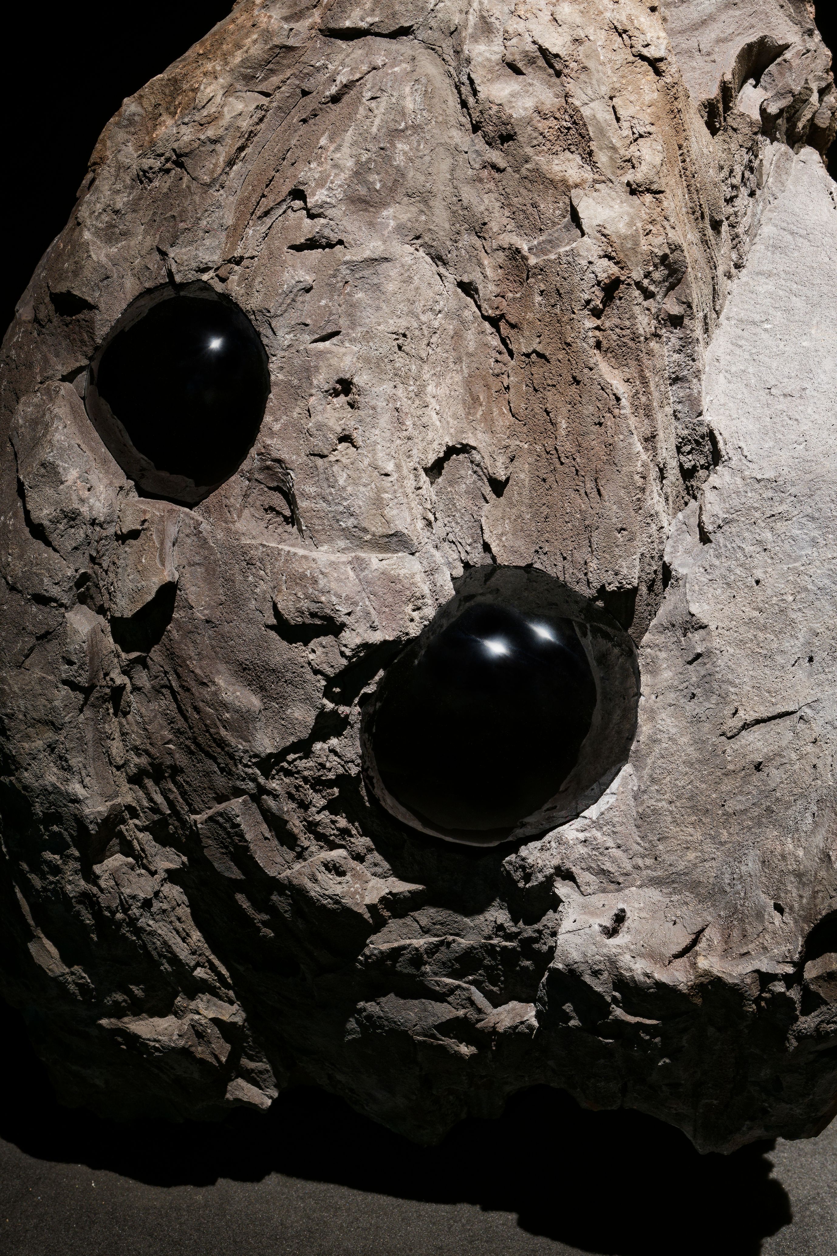 Julian Charrière revela los ecos de la Tierra en el Palais de Tokyo