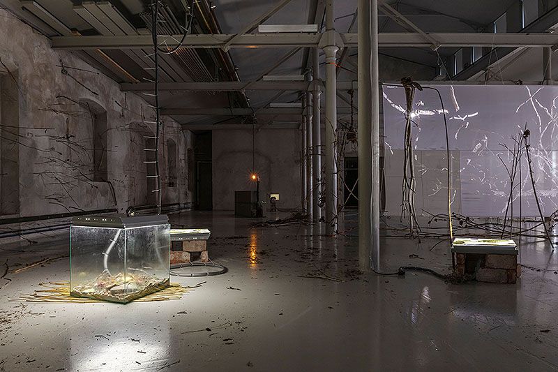Your practice is characterised by the observation of encounters and interactions between different elements, often everyday objects. Could you elaborate on how you select these materials and what criteria you follow to integrate them into your work?