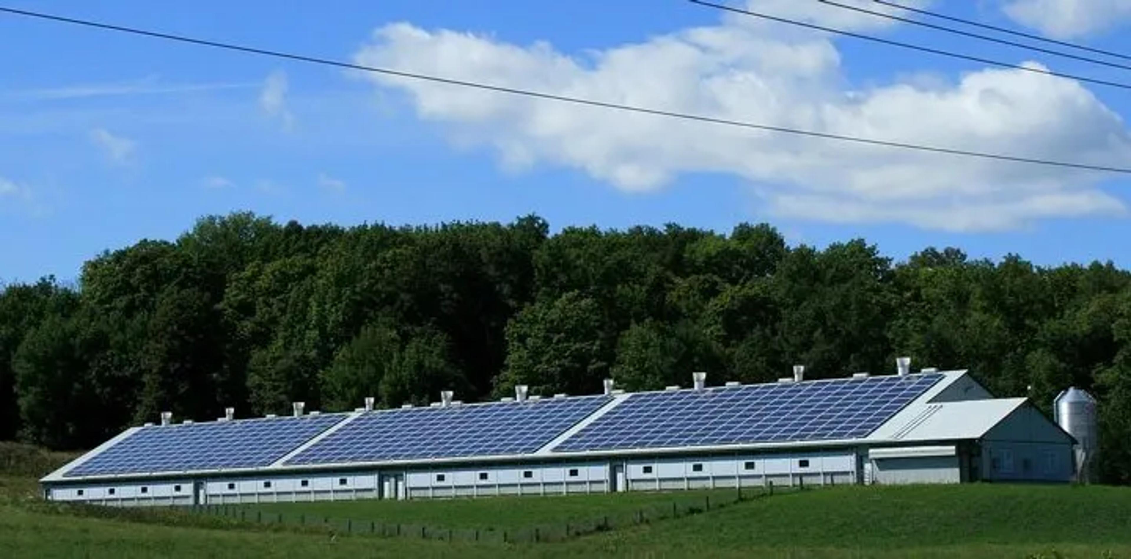 hangar photovoltaïque agricole panneaux solaires