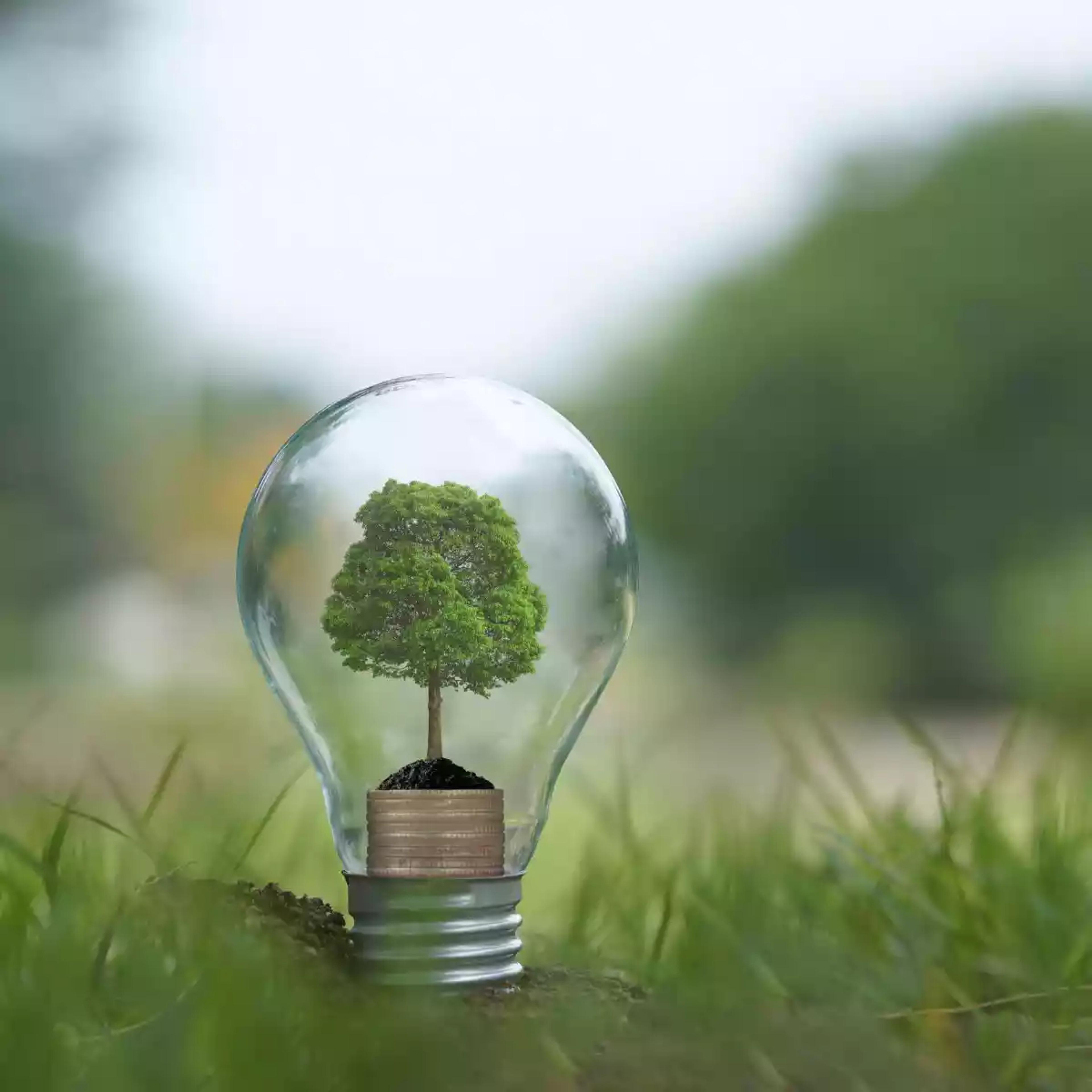 ampoule avec un arbre dedans