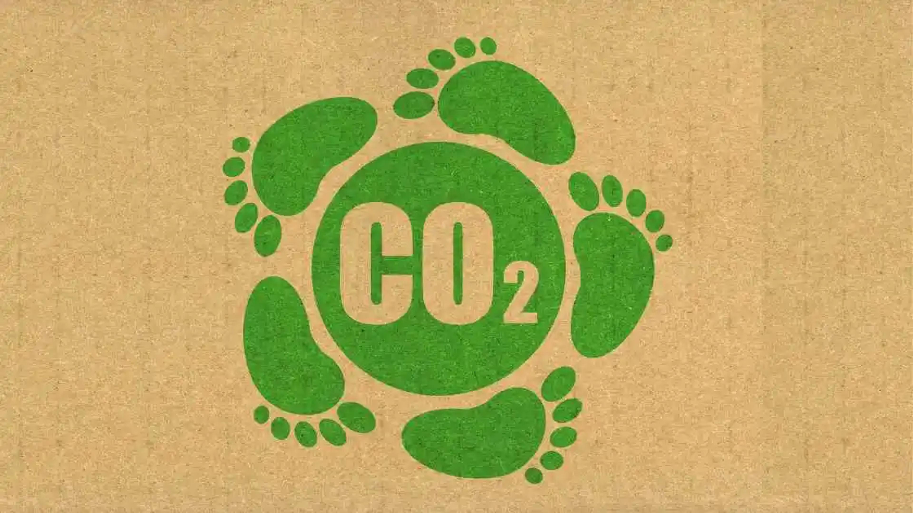 Der CO₂-Fussabdruck