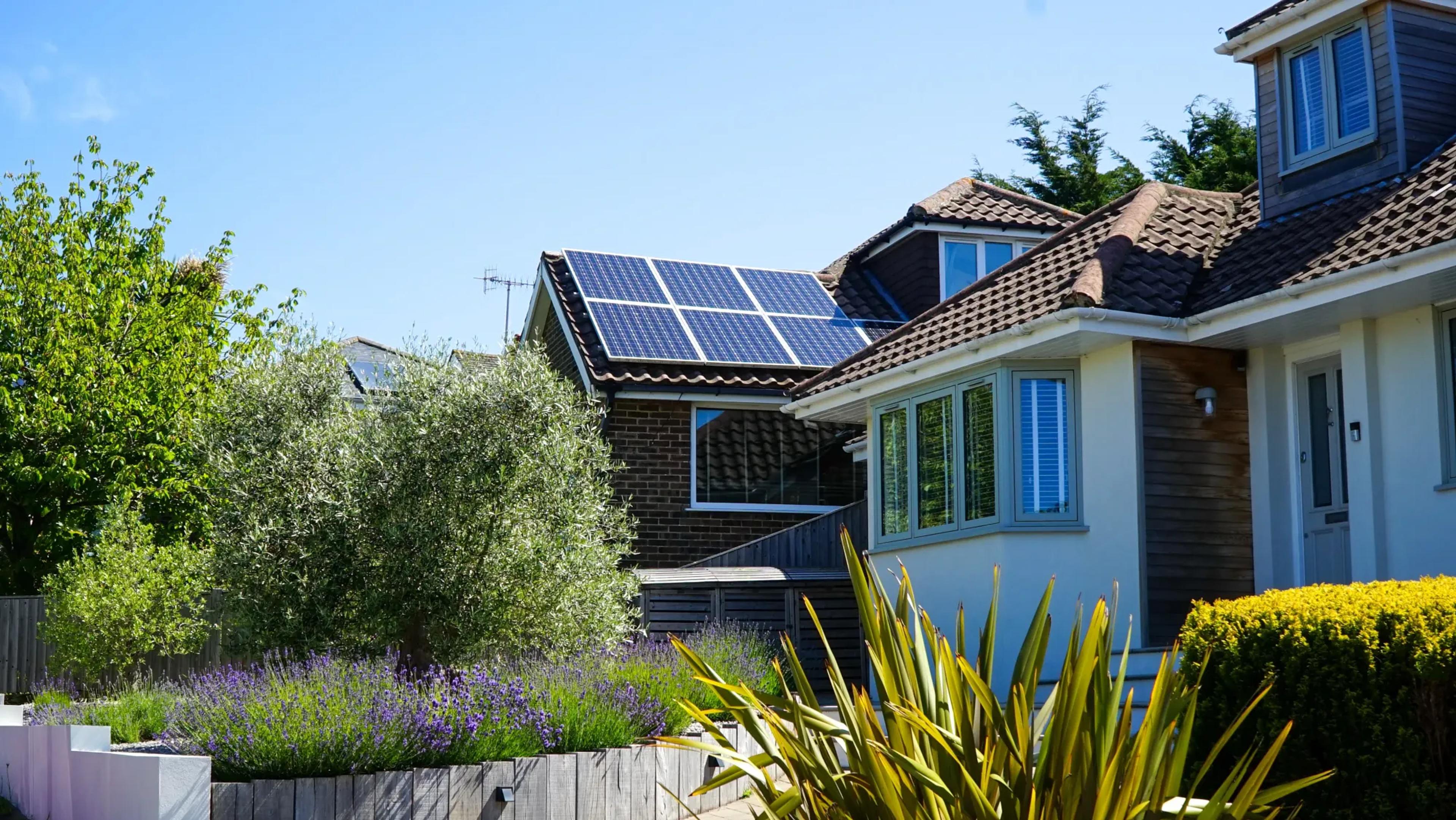 Solar panels on the roof of a residential property. In front of the house is a garden with lavender.