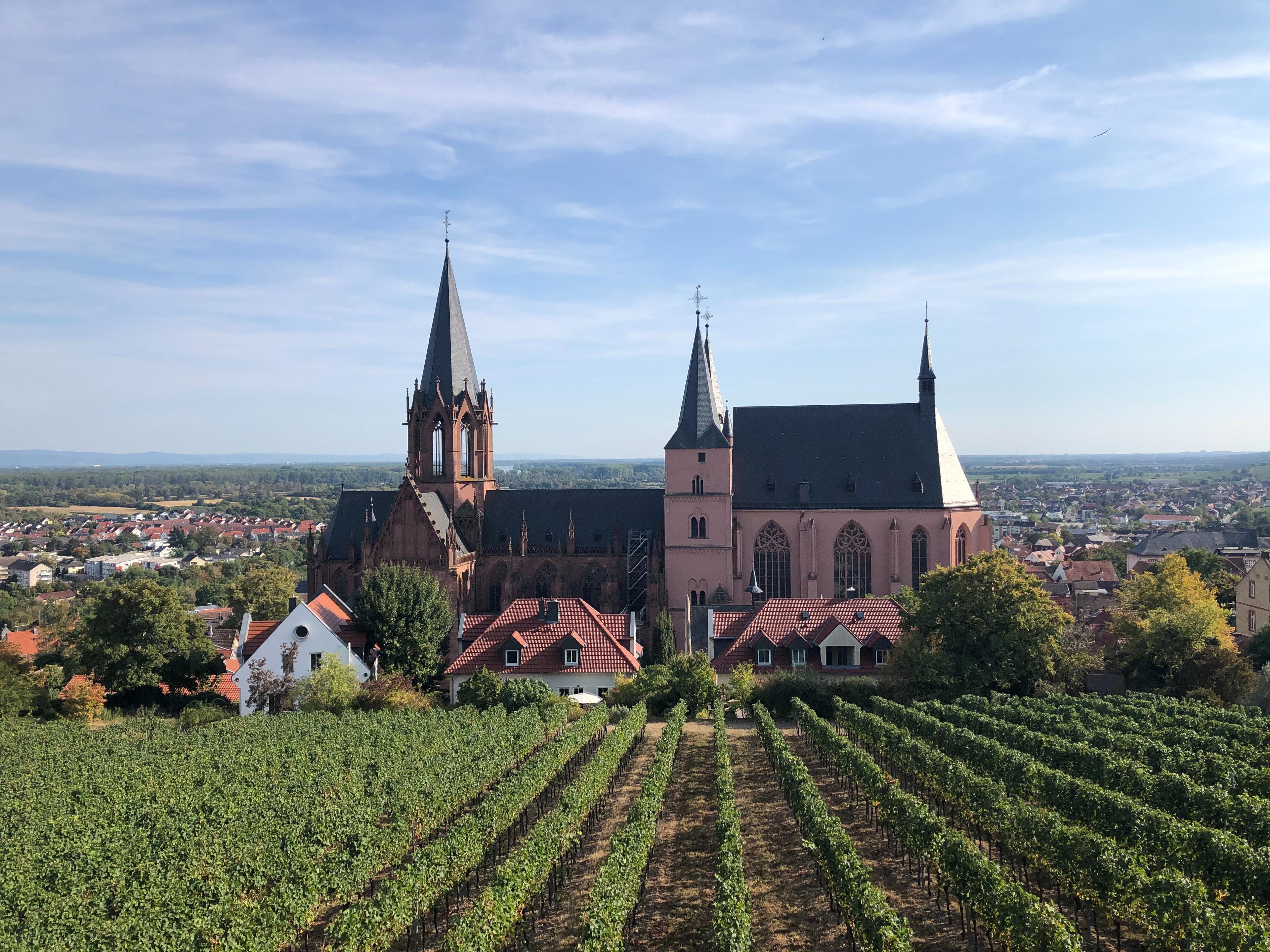 église au milieu des vignes