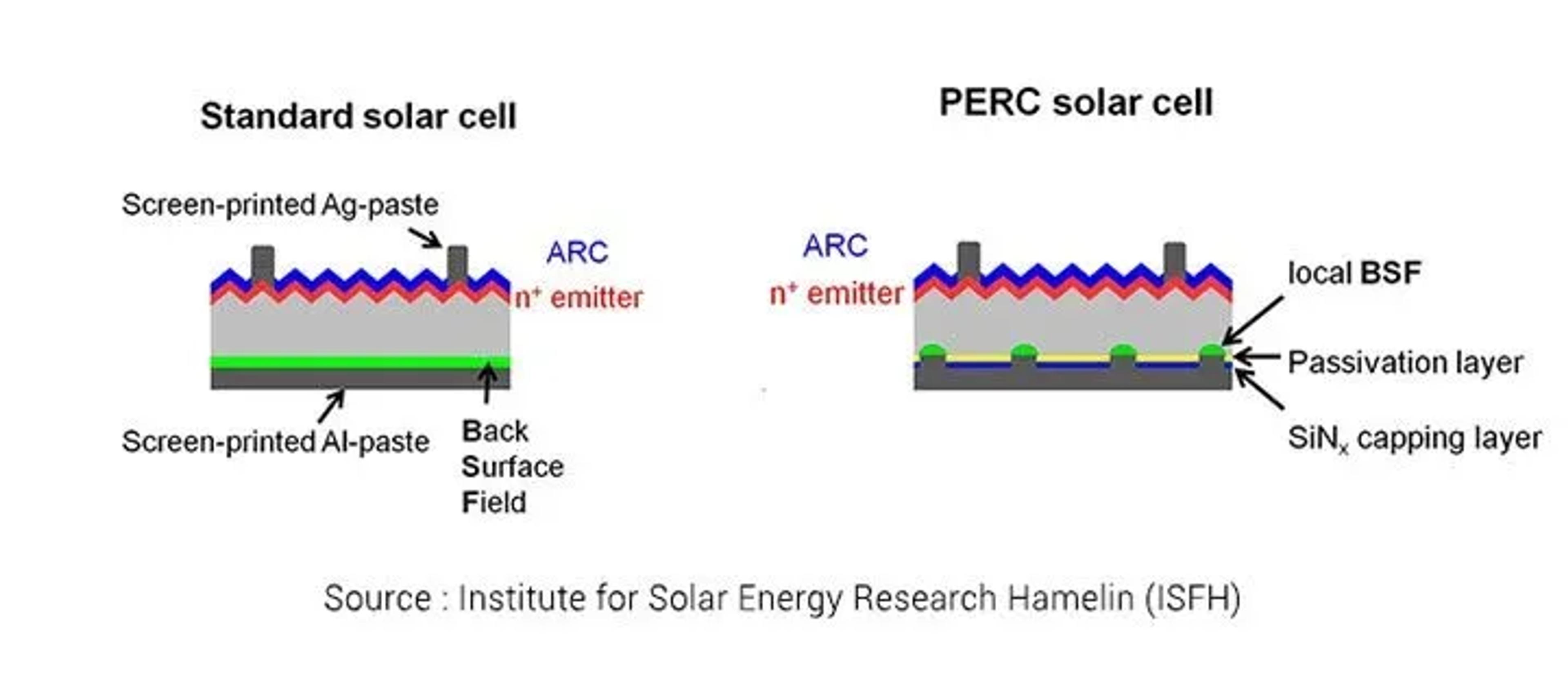 schéma cellules perc