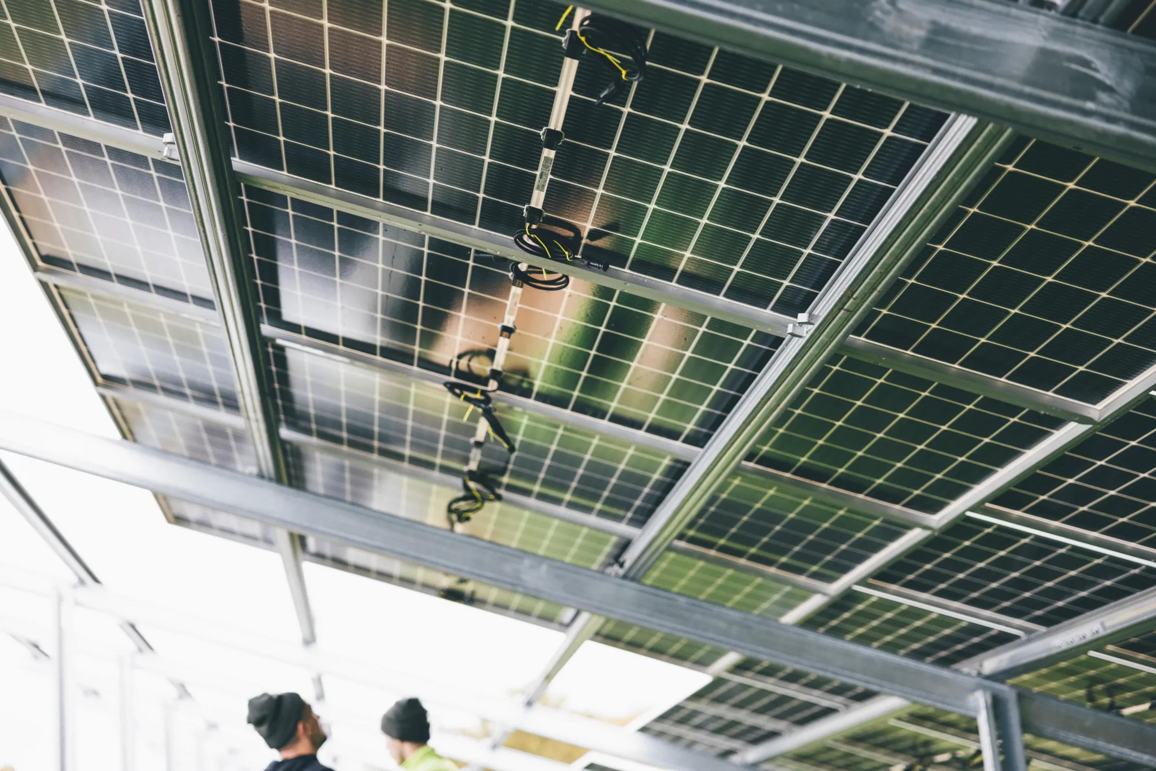 People standing beneath a solar panel system