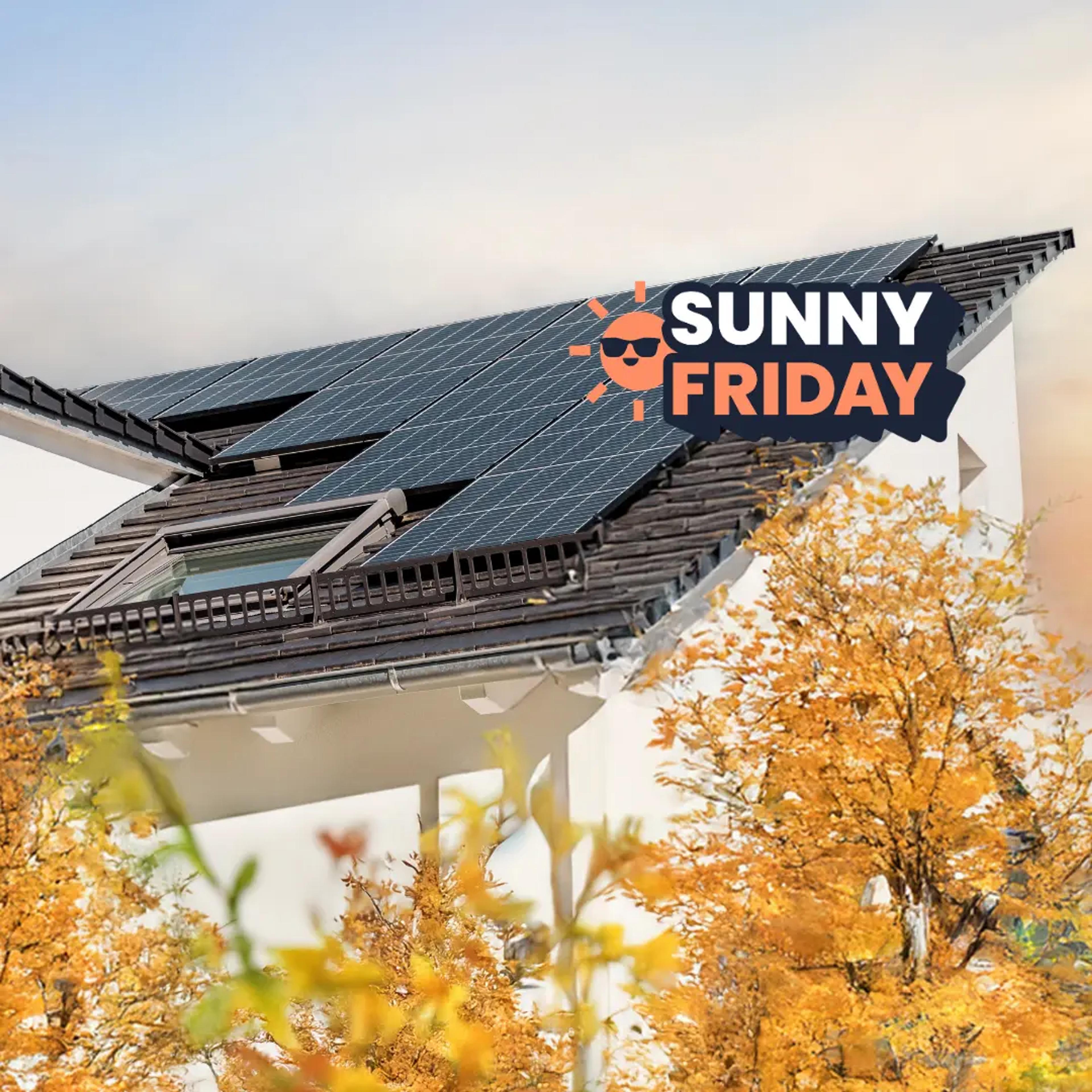 Instalacja fotowoltaiczna oraz logo kampanii sunny friday