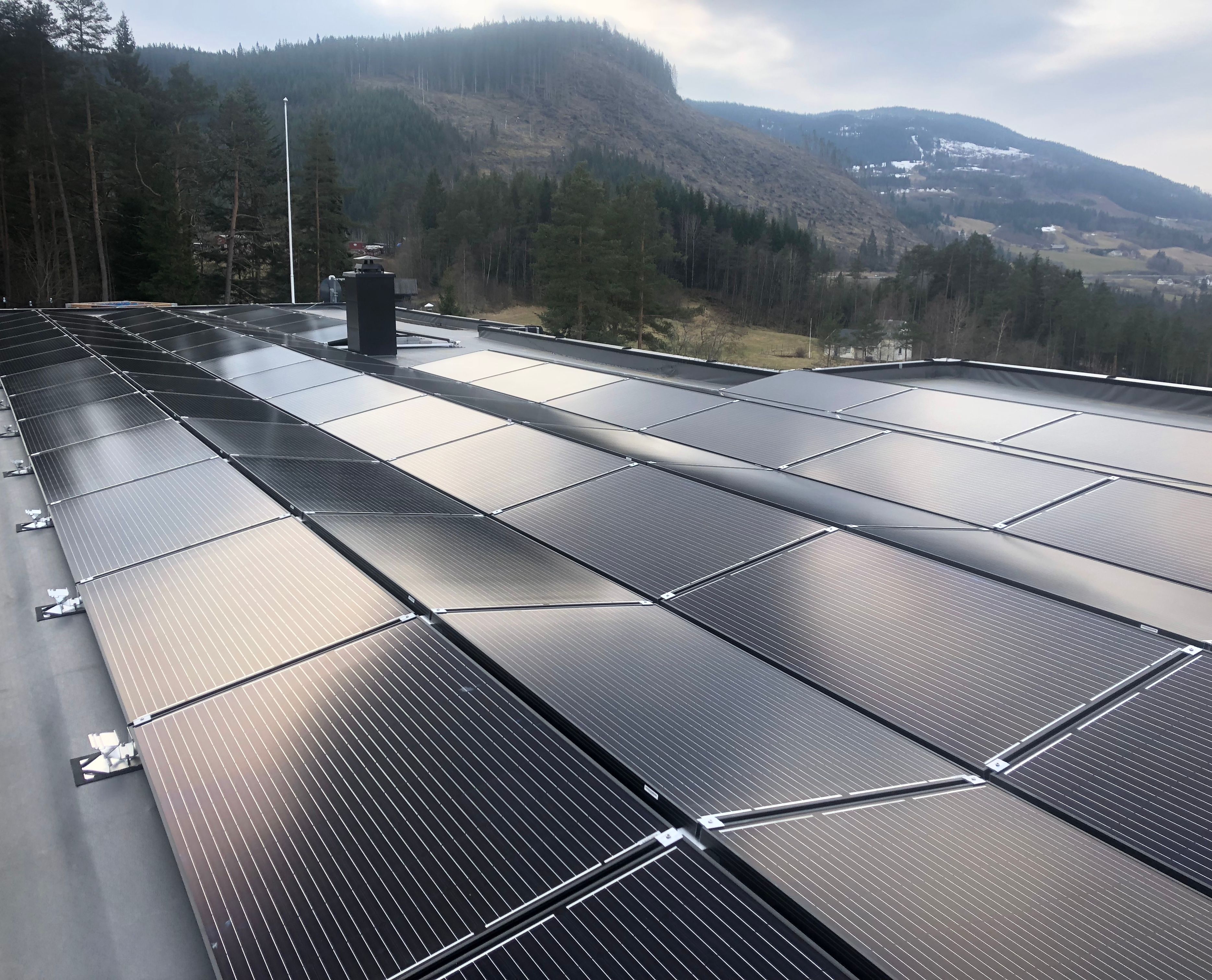 solar panels on roof