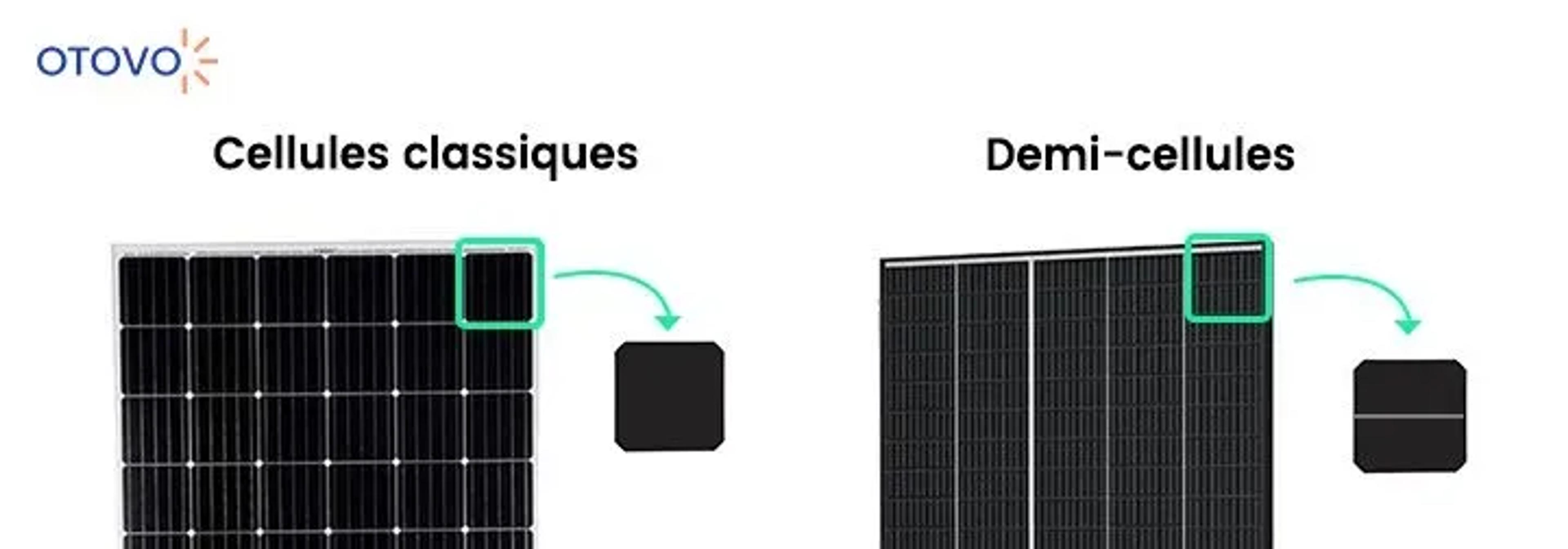 cellules classiques et demi cellules