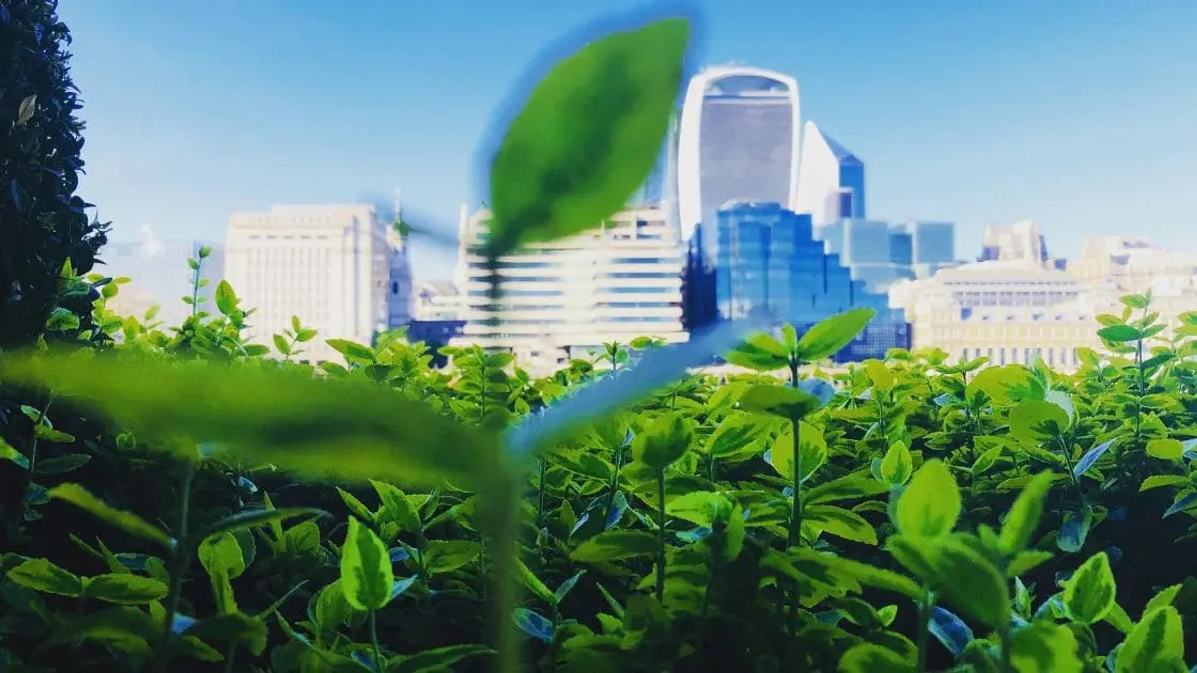 Green city