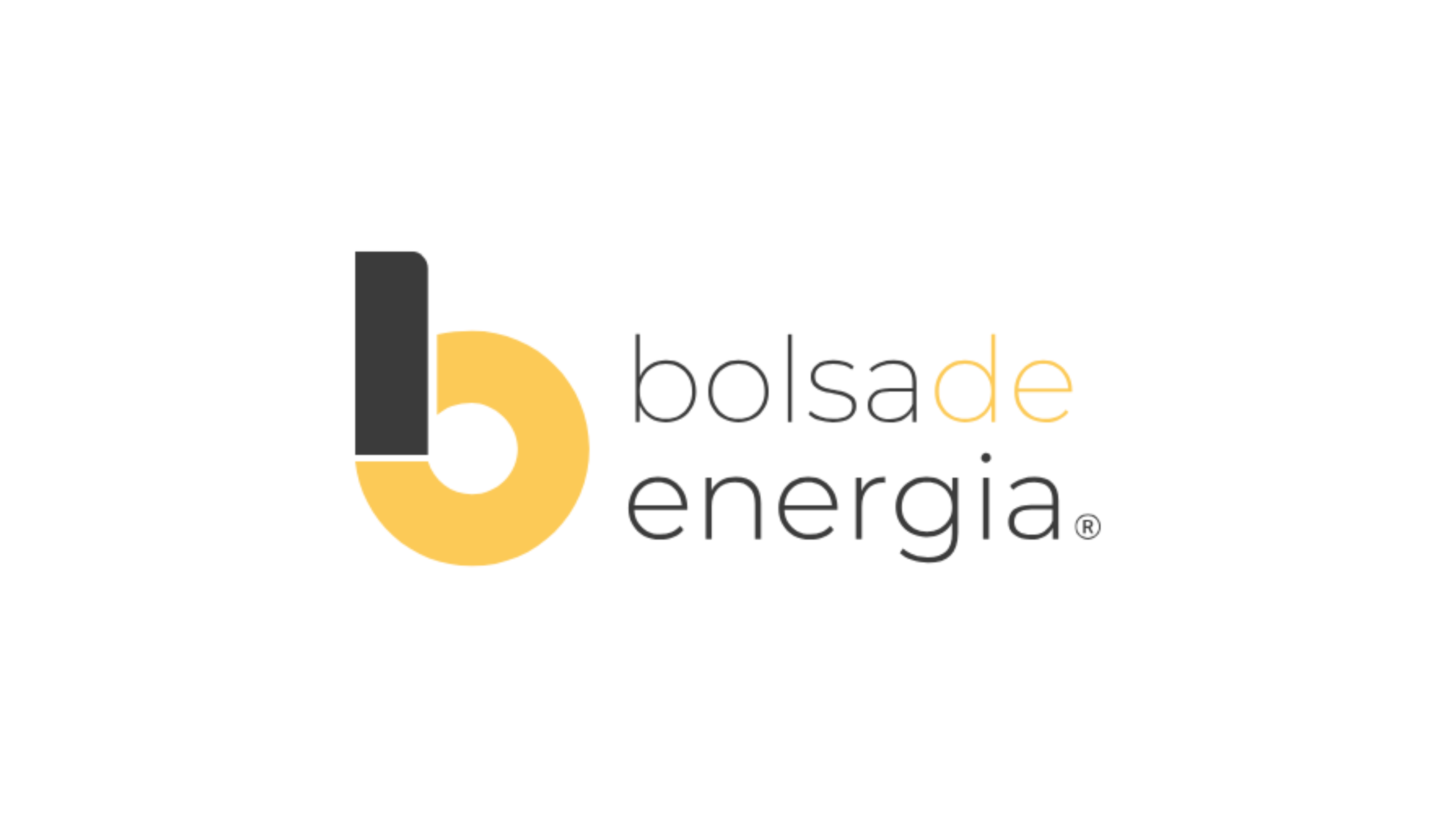 bolsa de energia