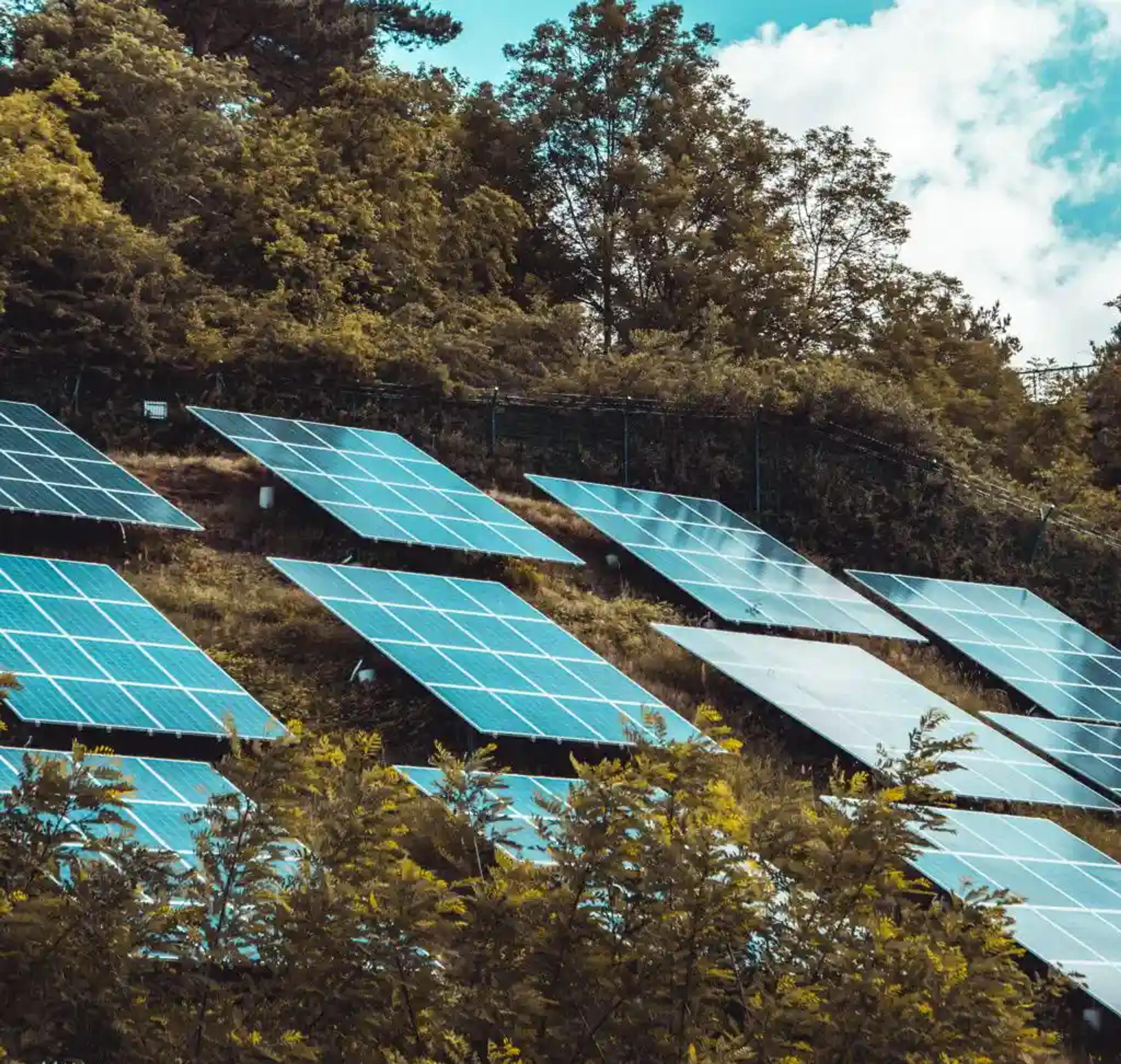 Photovolataikanlagen auf einem Hügel