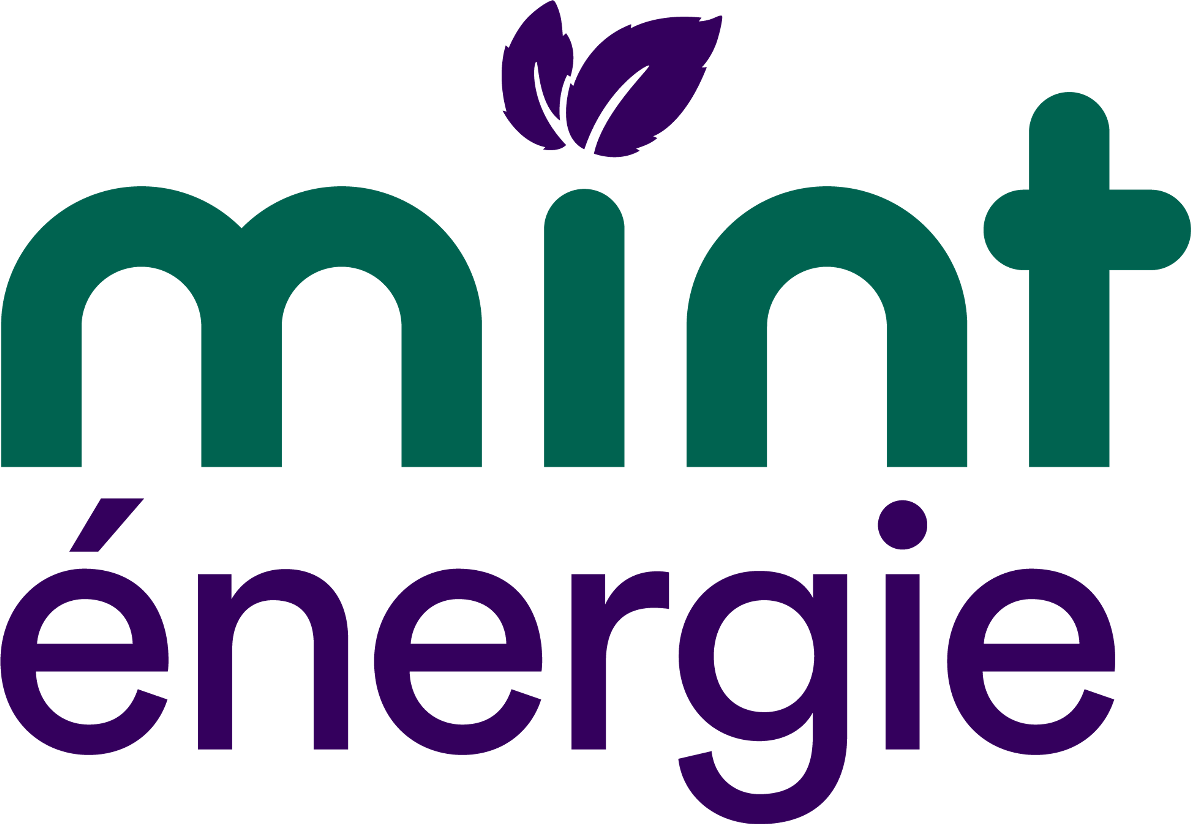 mint énergie