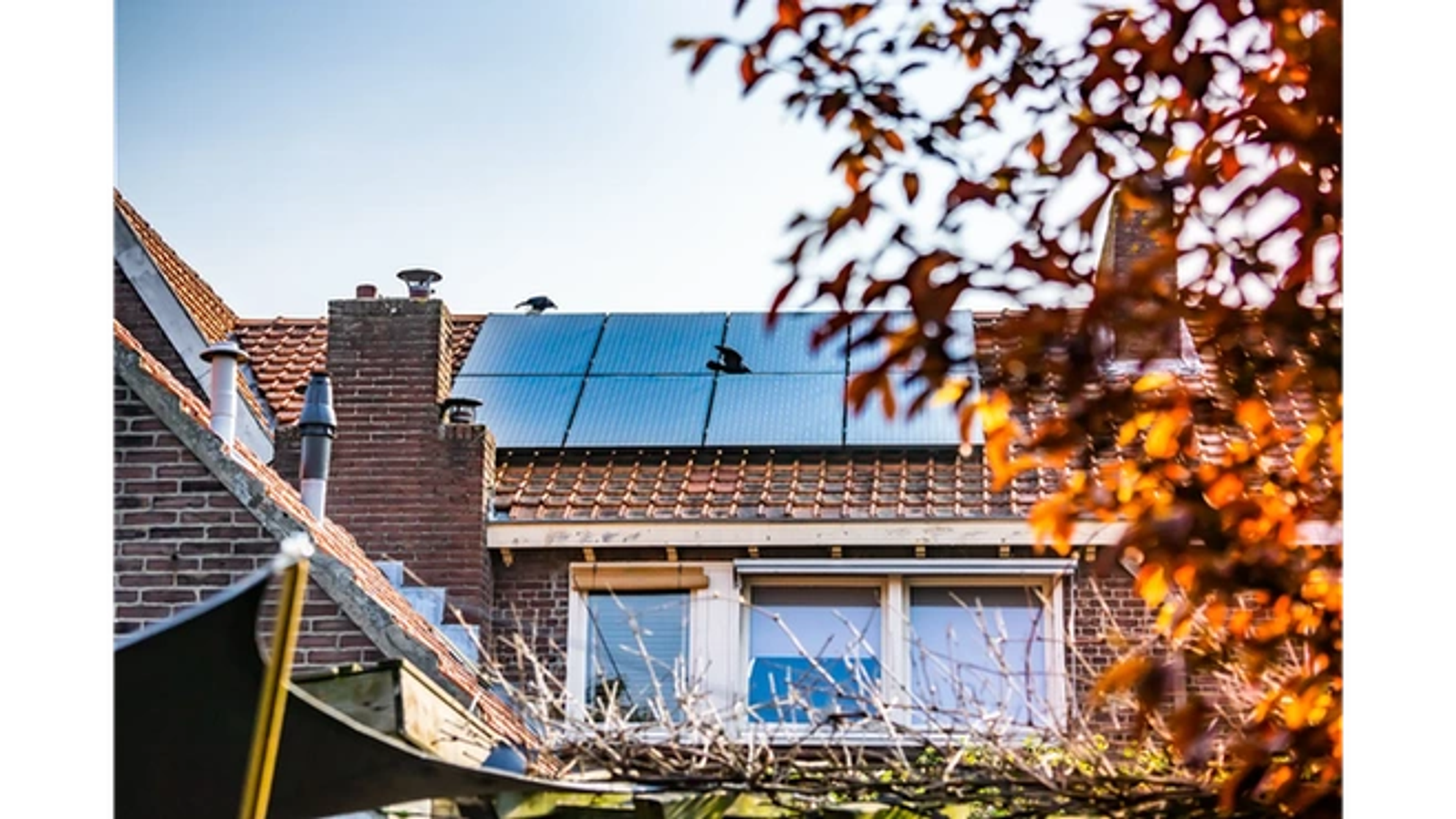 zonnepanelen herfst