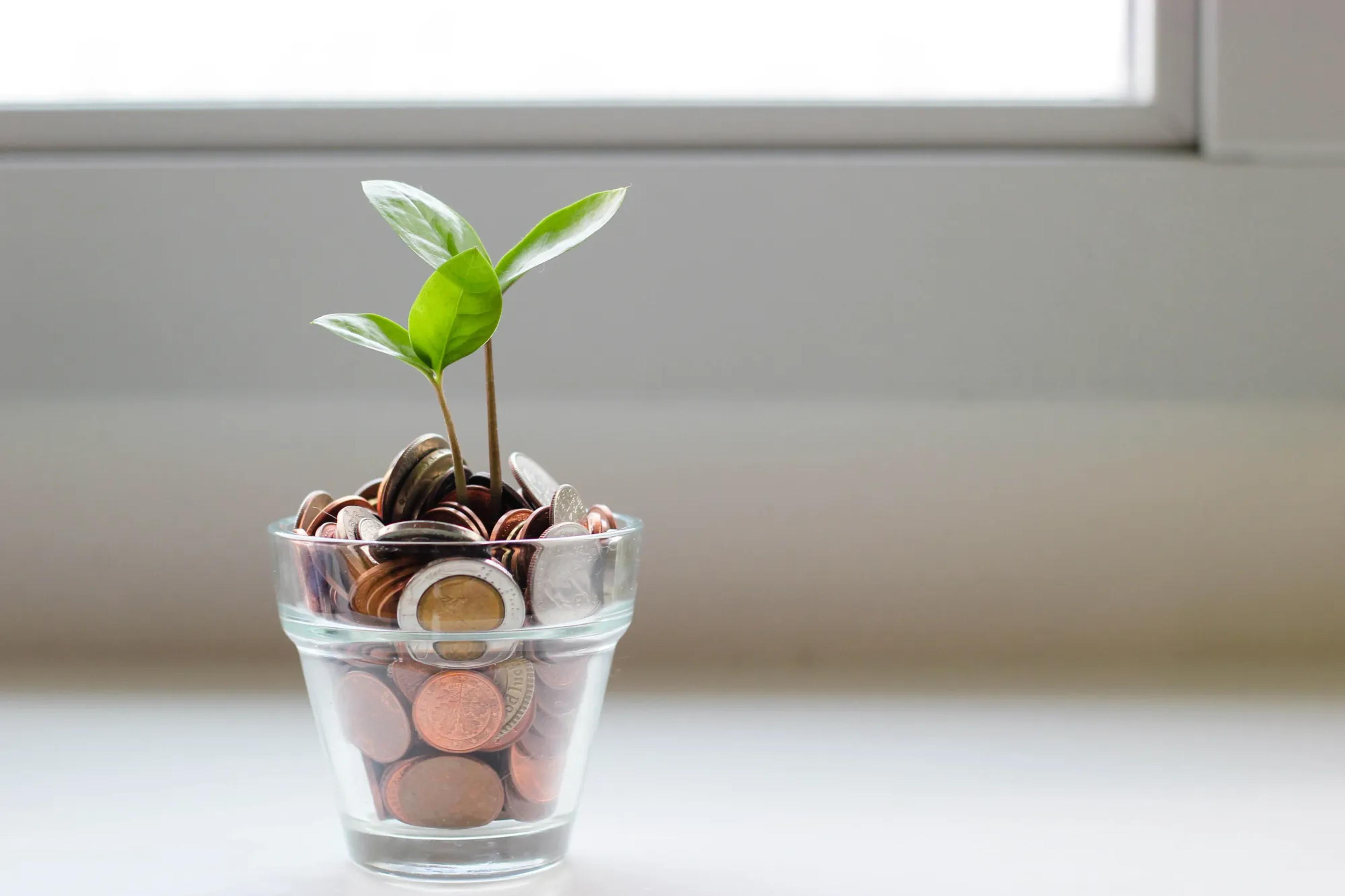Potje met muntjes waar een plantje uit groeit.
