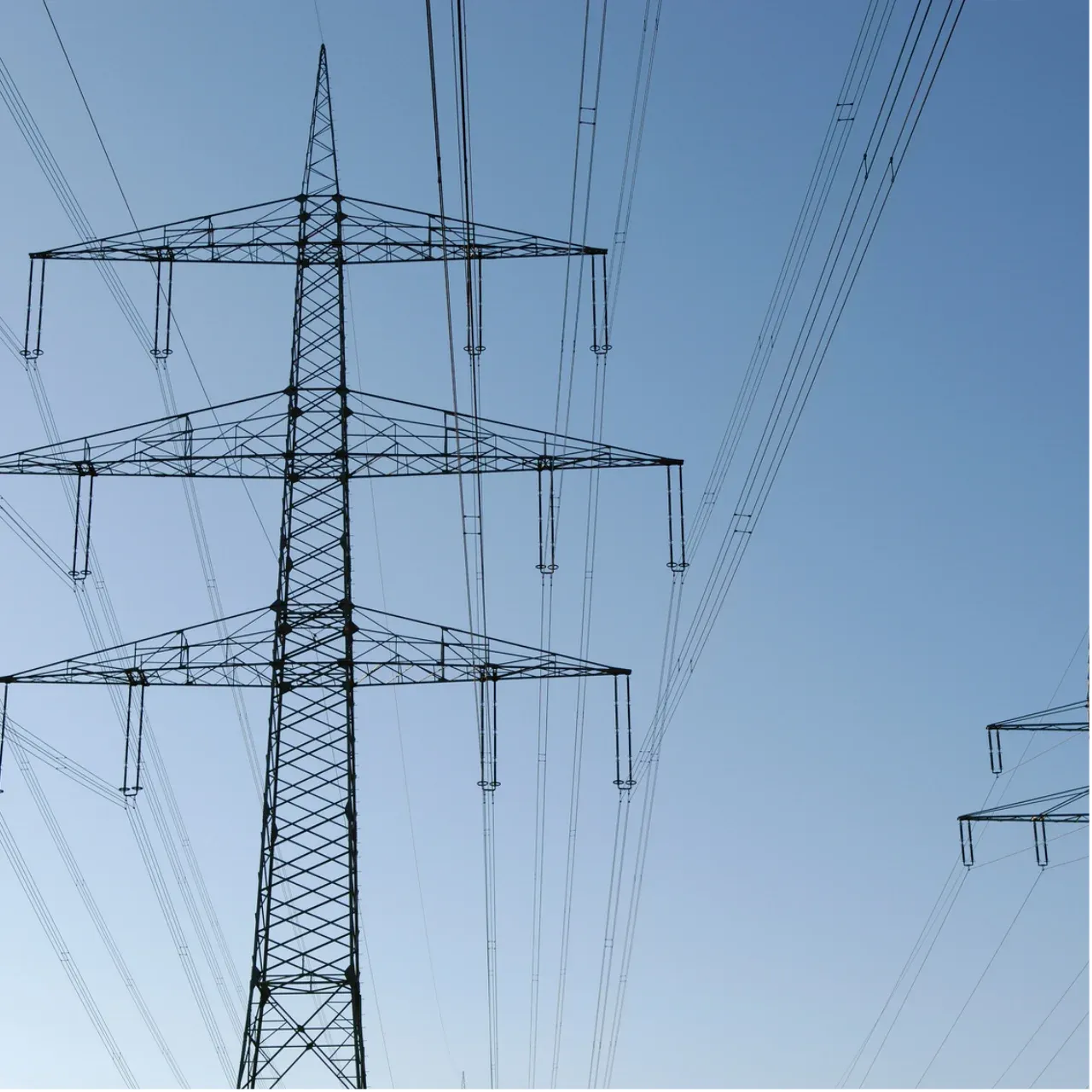 het stroomnet in Nederland raakt snel overbeast