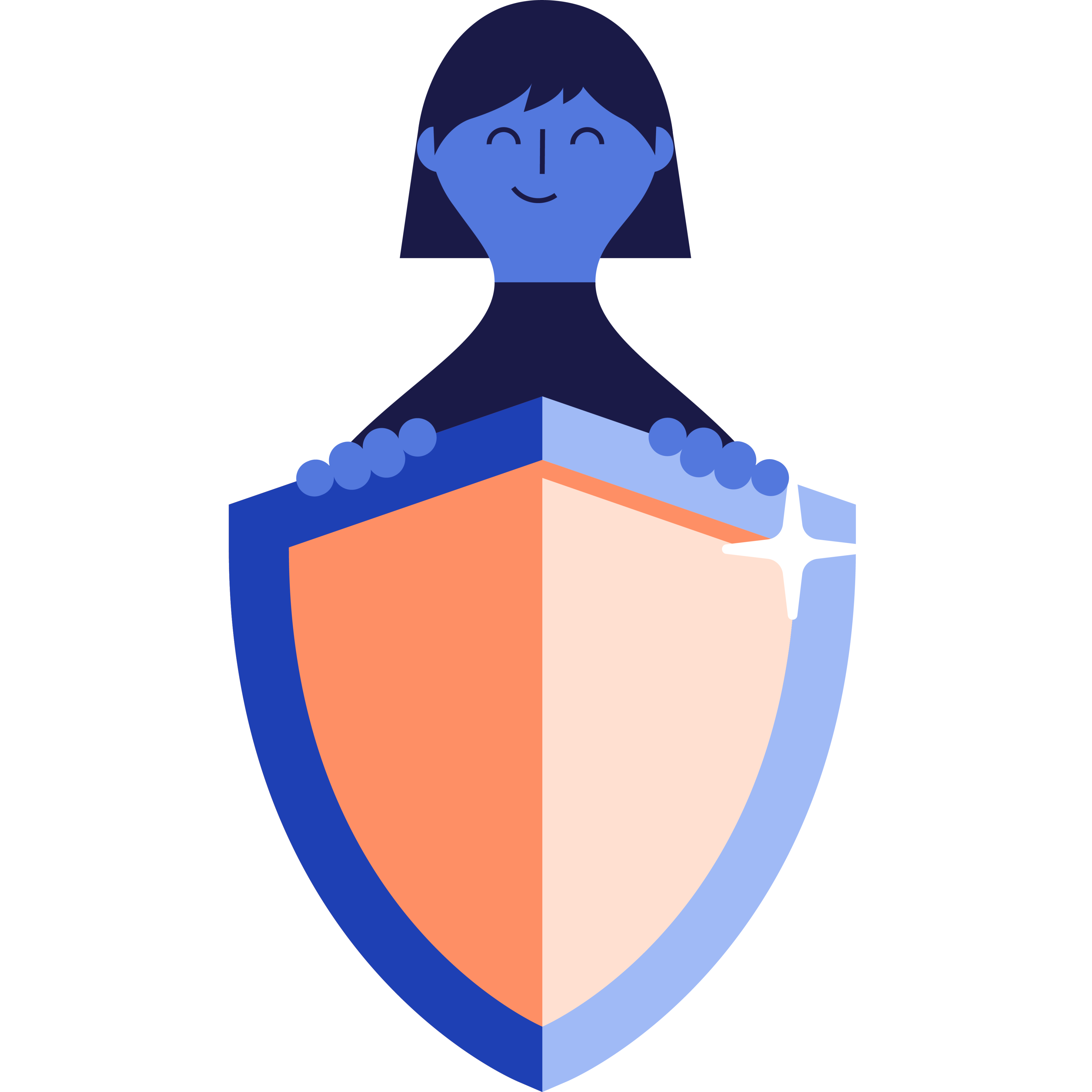 Illustration support shield
