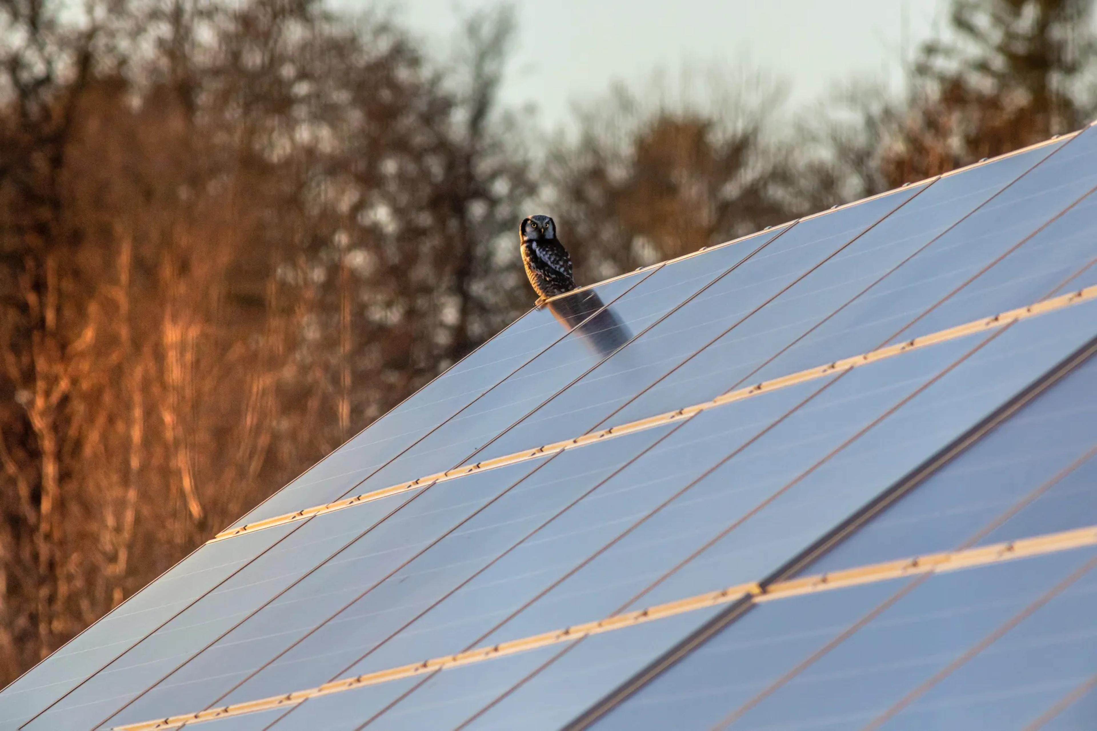 Solar panels on a roof