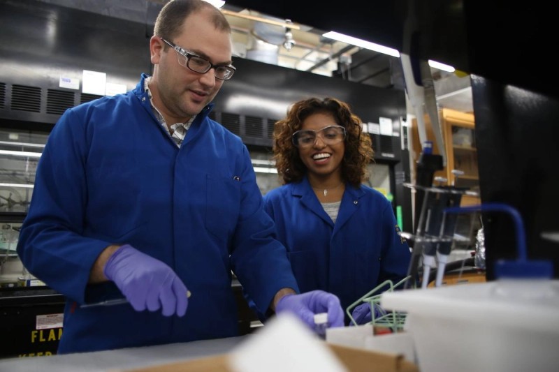 New UCLA fellowship aims to make environmental science more inclusive