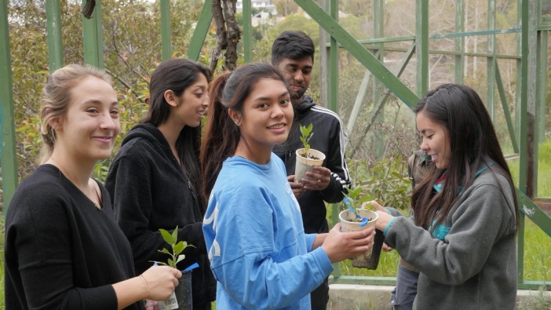 UCLA student wins award for climate action and social justice