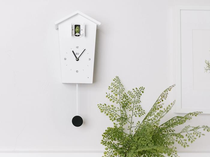 Hover Image for Modern Cuckoo Clock - White