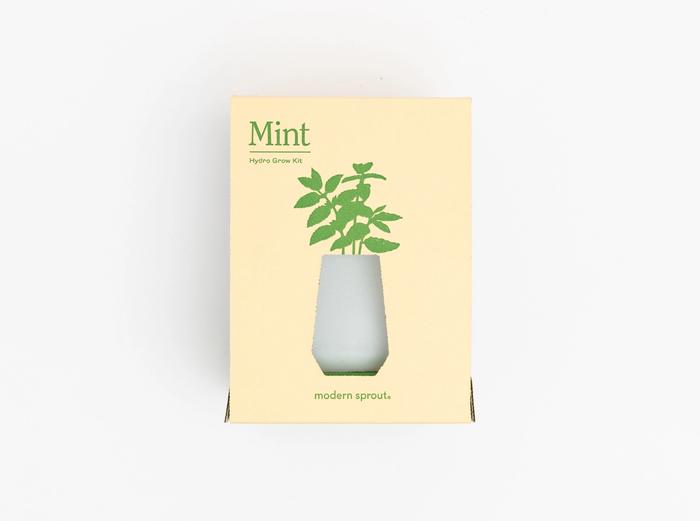 Image for Herb Grow Kit - Mint