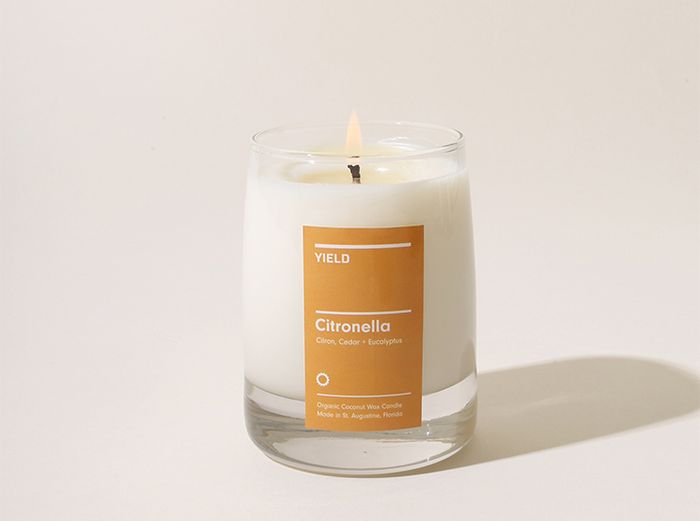 Image for Candles - 8 oz / Citronella