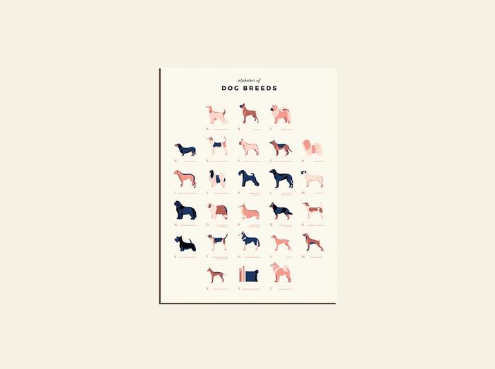 Image for Dog Breeds Alphabet Print - Default Title