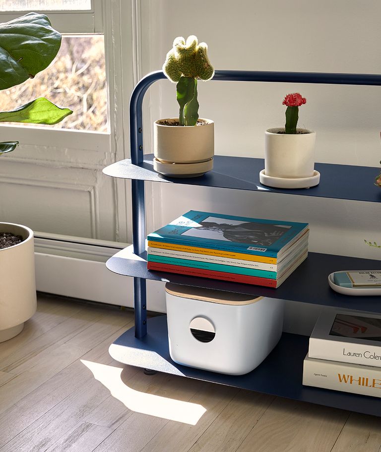 5050 Card - Cozy Living Room - Entryway Rack - Mobile Image