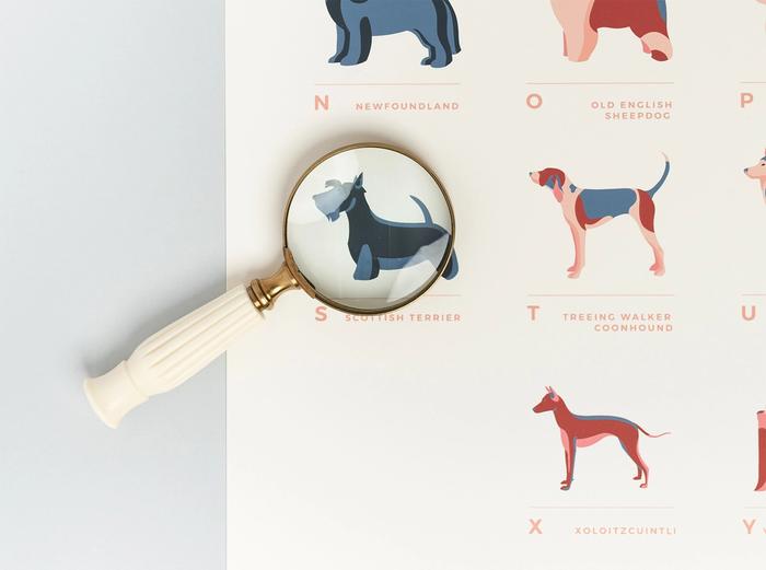 Hover Image for Dog Breeds Alphabet Print - Default Title