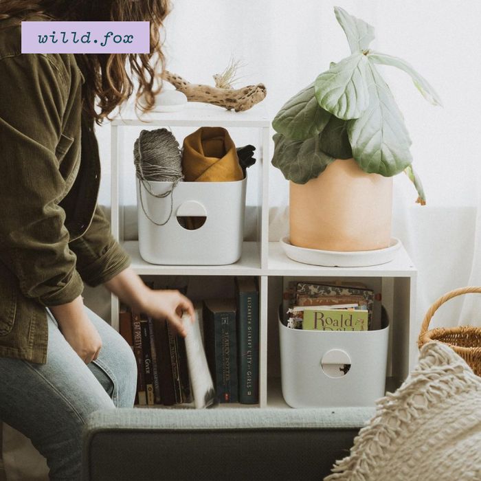 Image for UGC Med Cream Bins no upsell