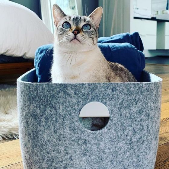 Image for Social - 05