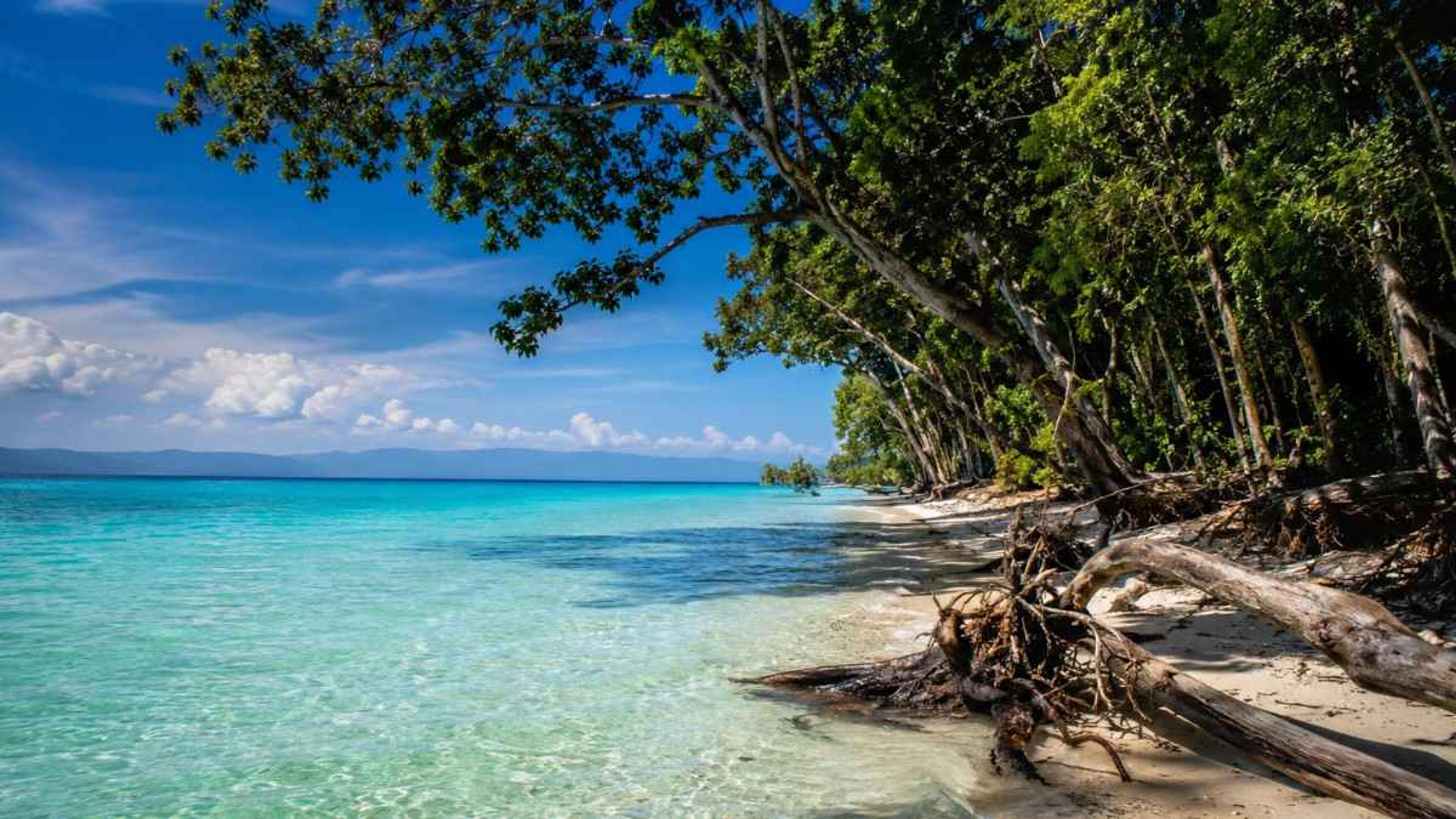 Things You Should Know Before Visiting Havelock Island