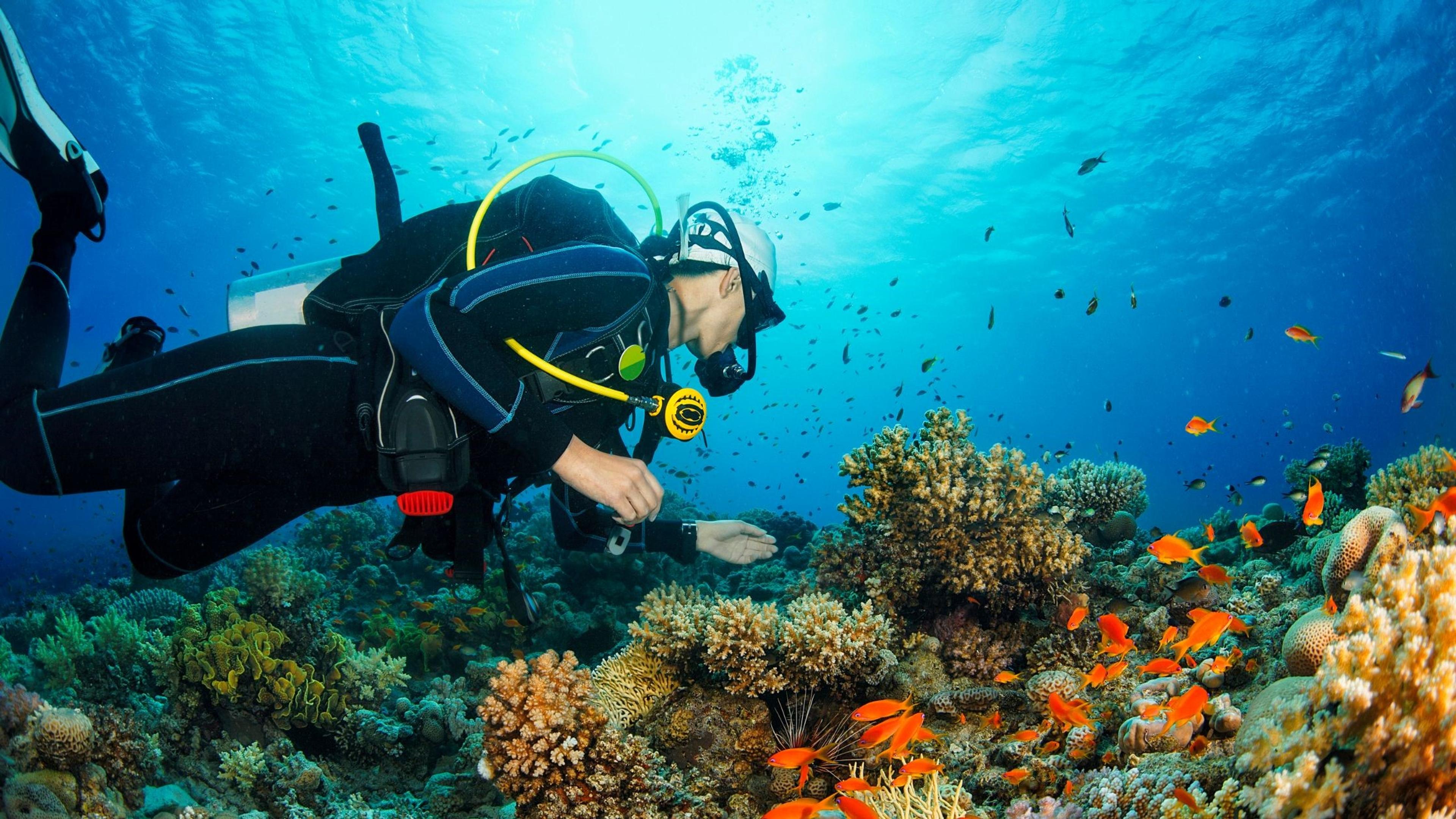 Top Scuba Diving Sites in the Andaman Islands