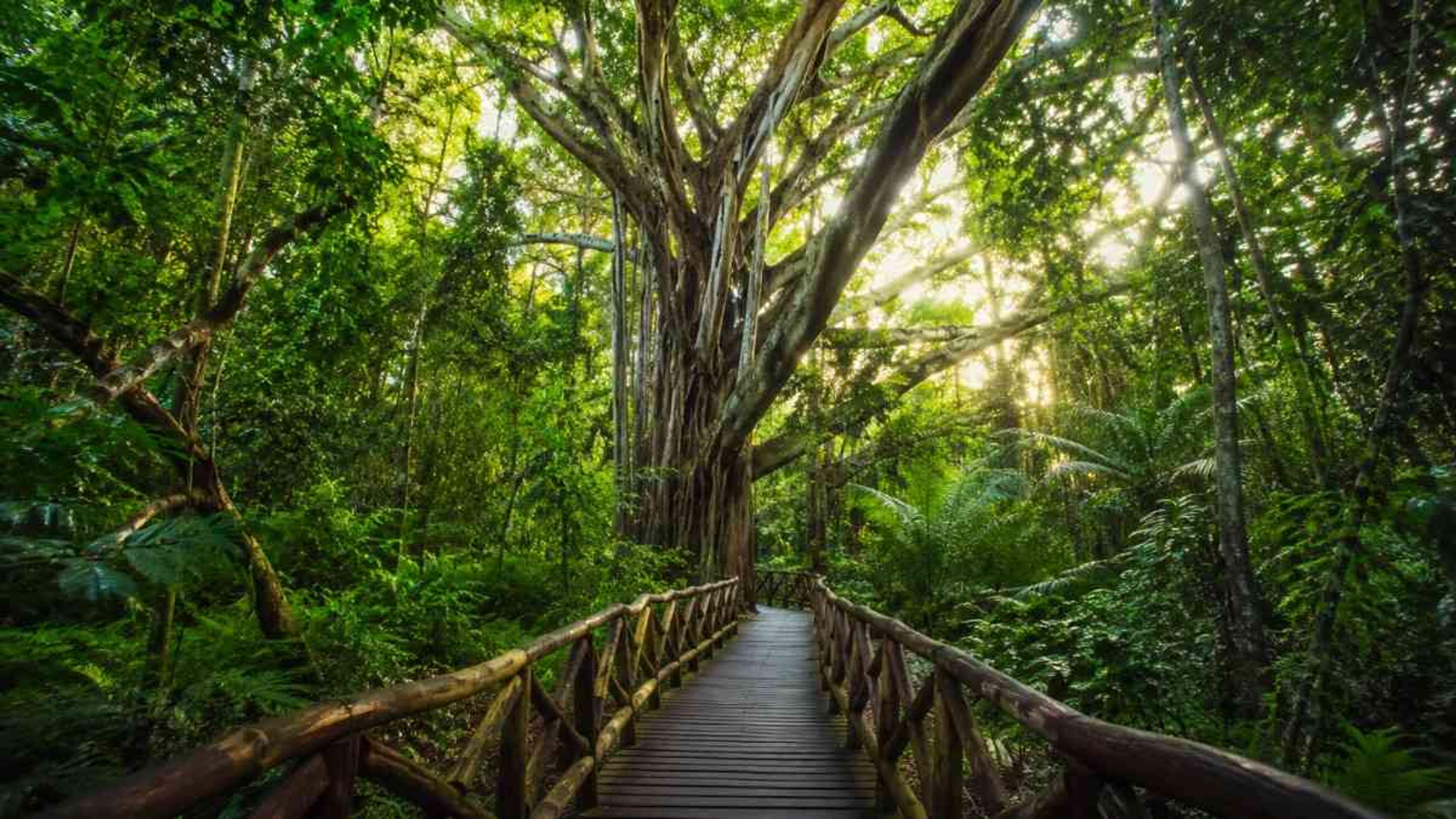 Top 7 Reasons to Visit Havelock Island in 2026 – Best Time, Beaches & Travel Tips Top 7 Reasons to Visit Havelock Island in 2026 – Best Time, Beaches & Travel Tips