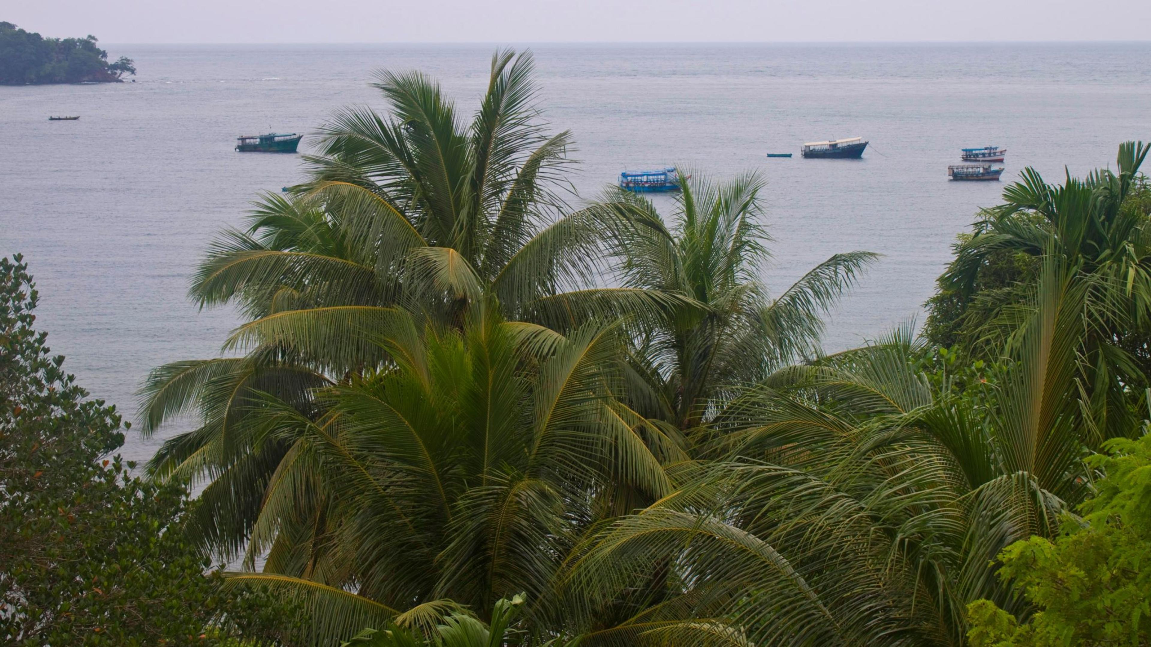 Mount Manipur National Park, Port Blair