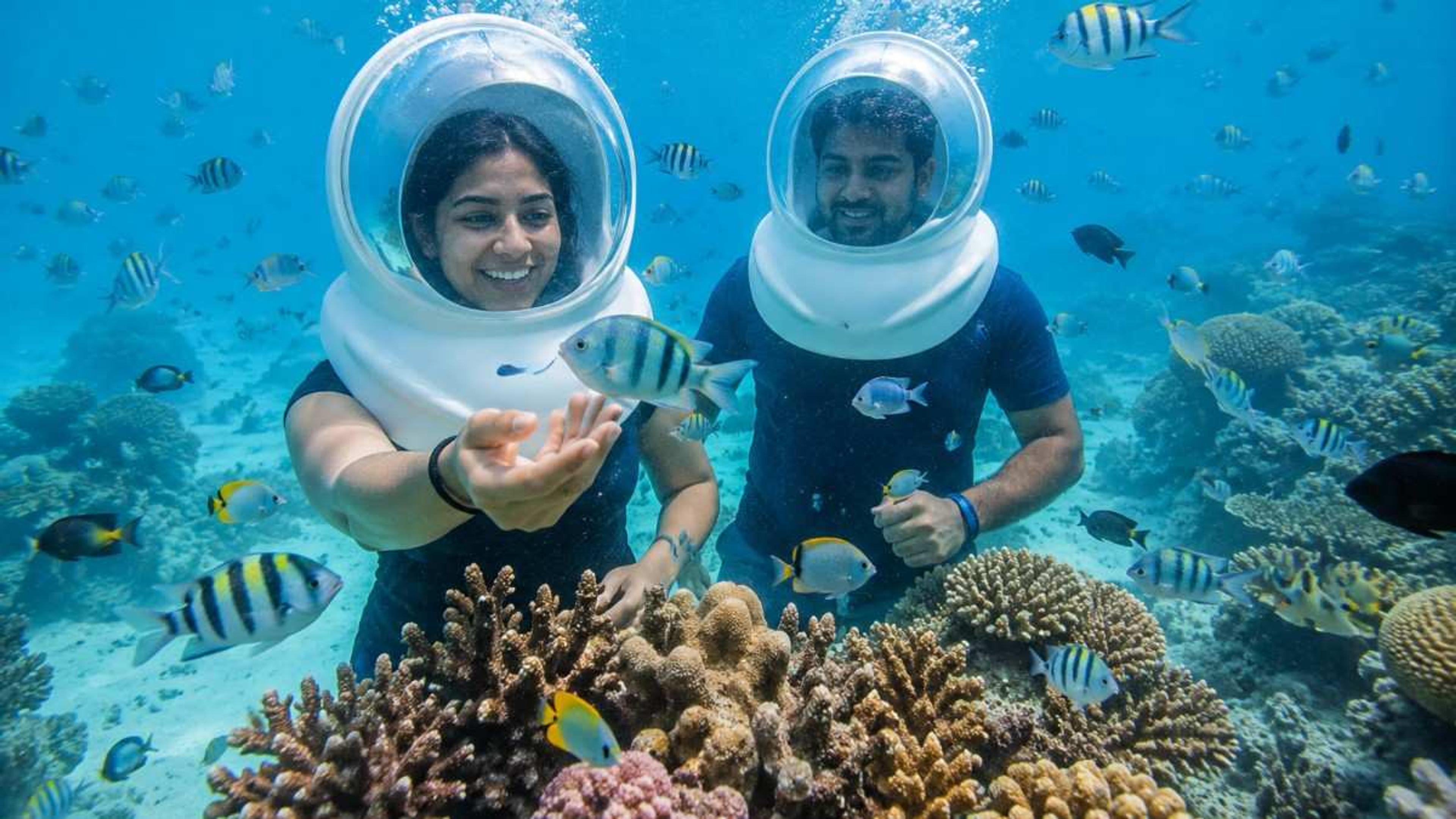Beginner’s Guide to Sea Walking in Havelock Island