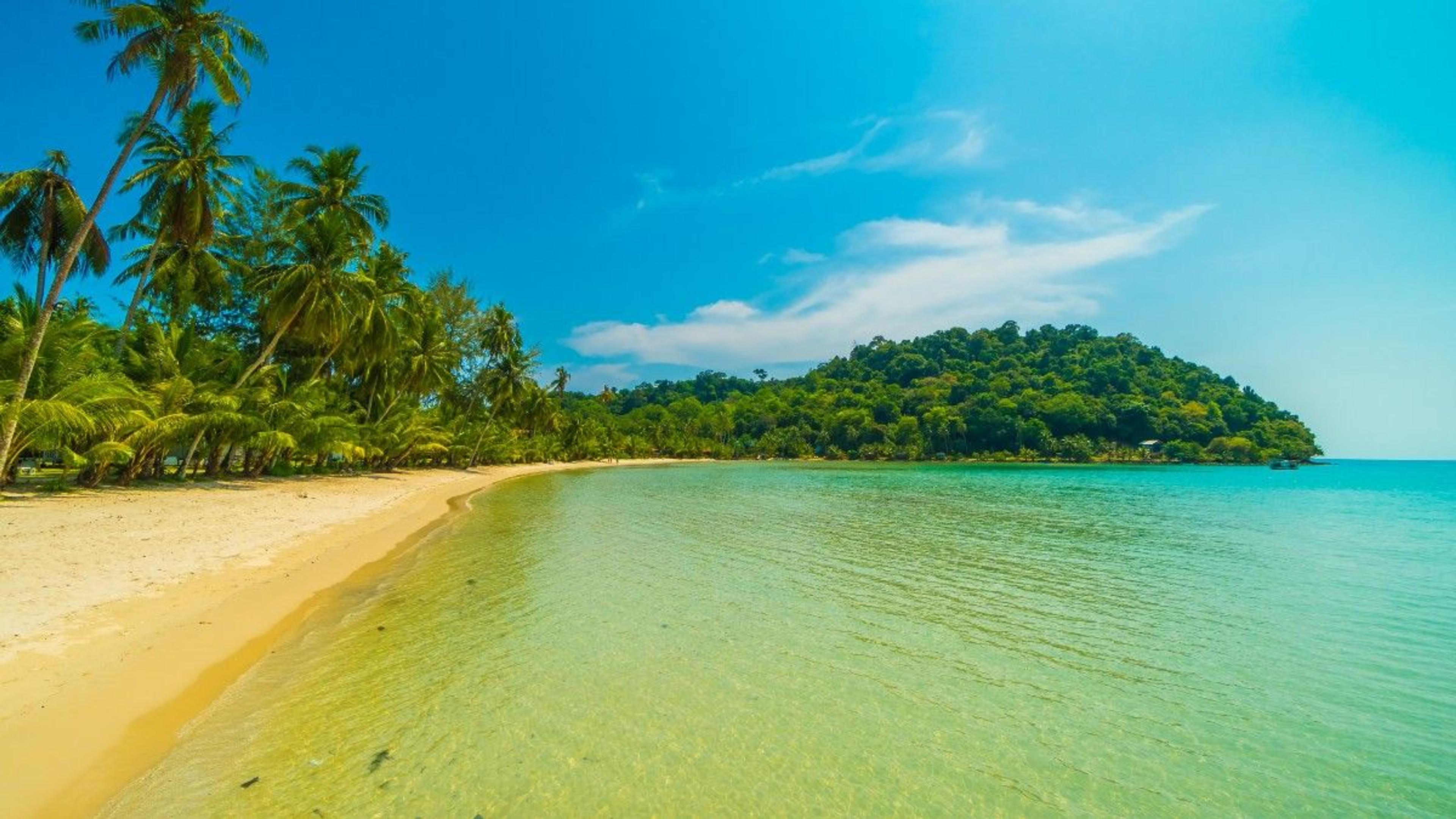 What Makes Radhanagar Beach One of Asia’s Best Beaches? What Makes Radhanagar Beach One of Asia’s Best Beaches?