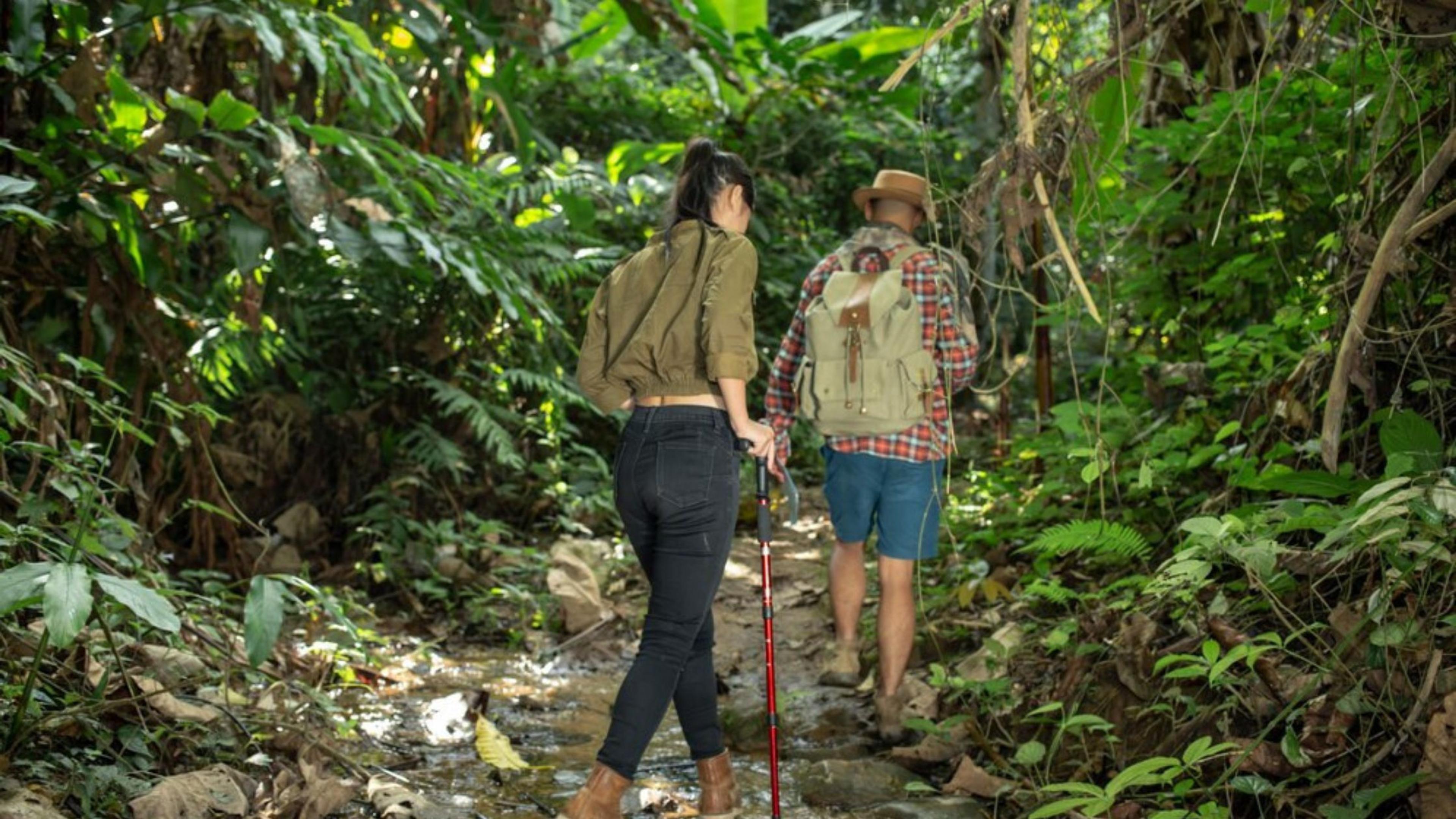 trekking spots in andman and nicobar islands trekking spots in andman and nicobar islands