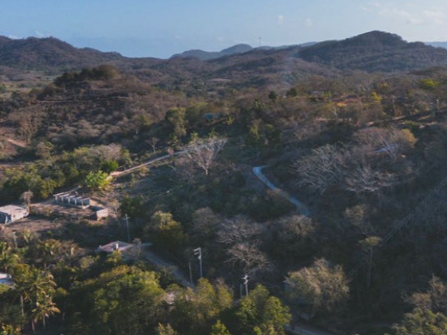 El Patrón