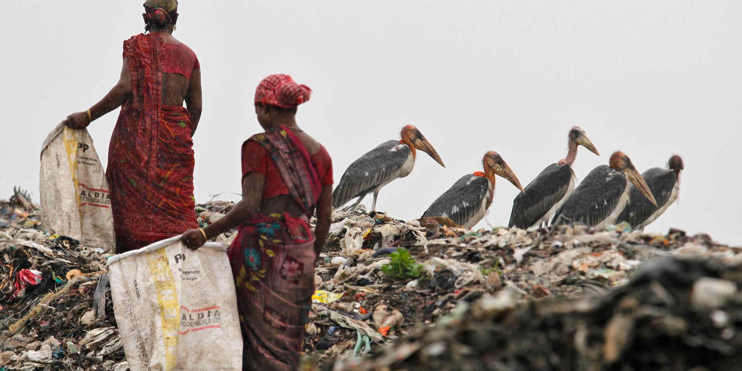 Simon Baldwin on How Female Asian Entrepreneurs Are the Key to Tackling Plastic Waste