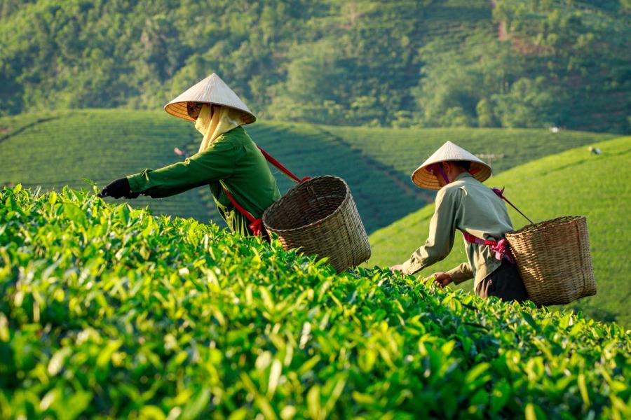 Financing Gender-Smart Climate Businesses in Asia