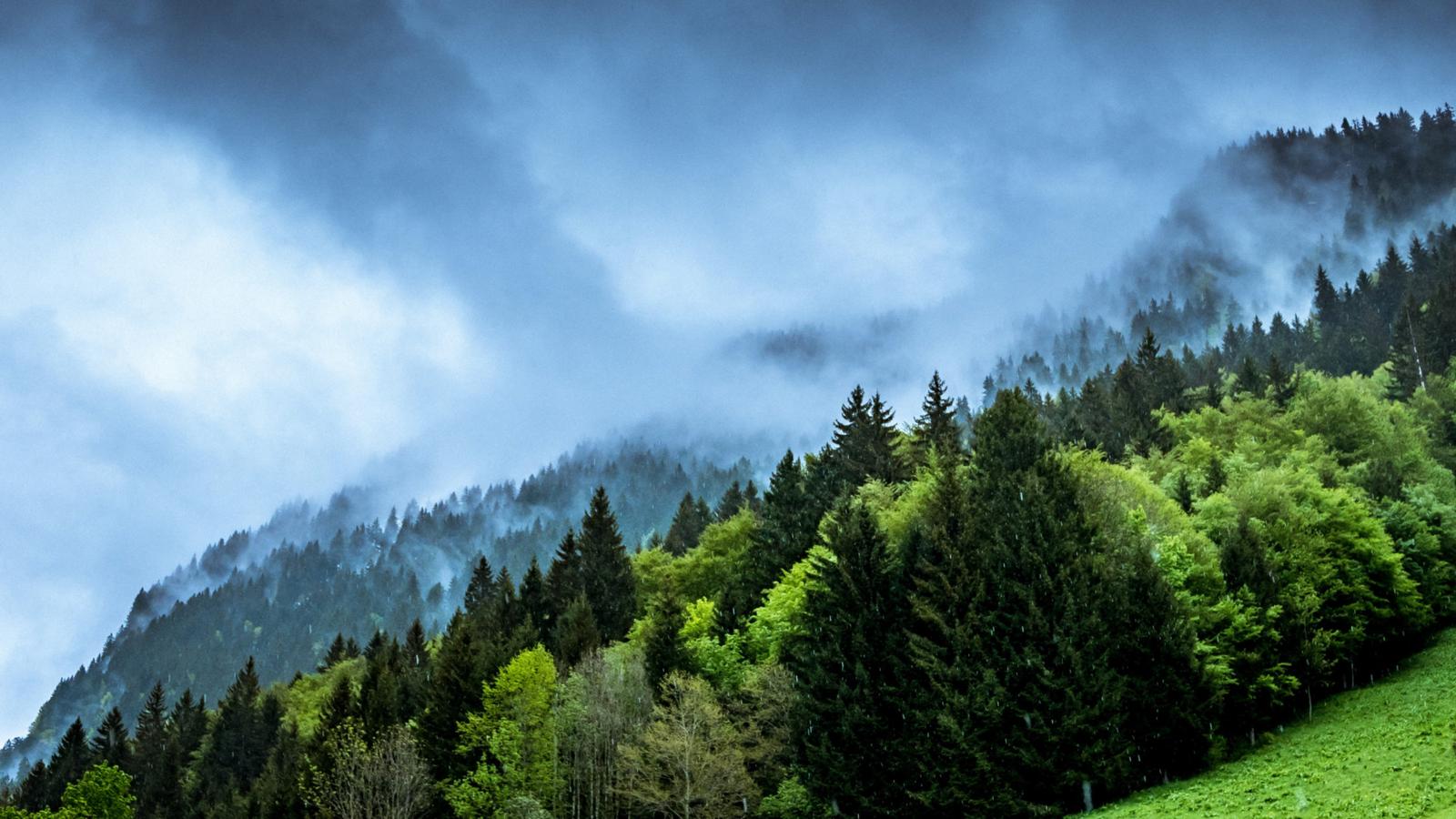 Relational Wealth is Key to Climate Solutions, Todd Khozein Says