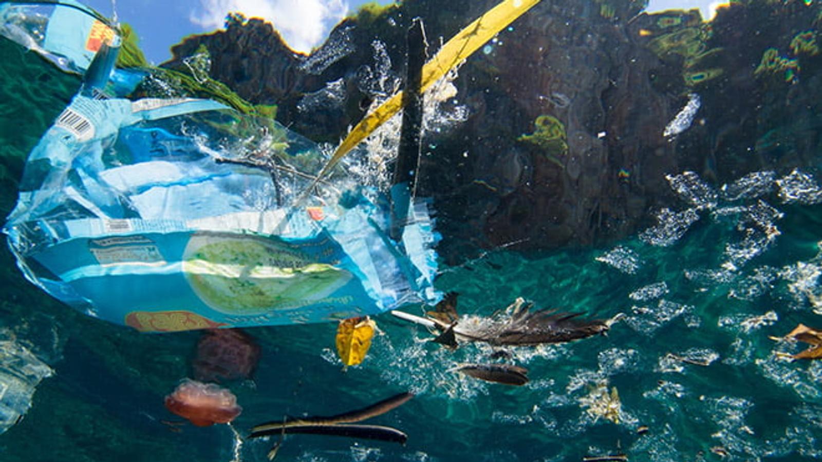 SecondMuse Set to Tackle Ocean Plastic in Collaboration with Circulate Capital, U.S. State Department, Ocean Conservancy and More
