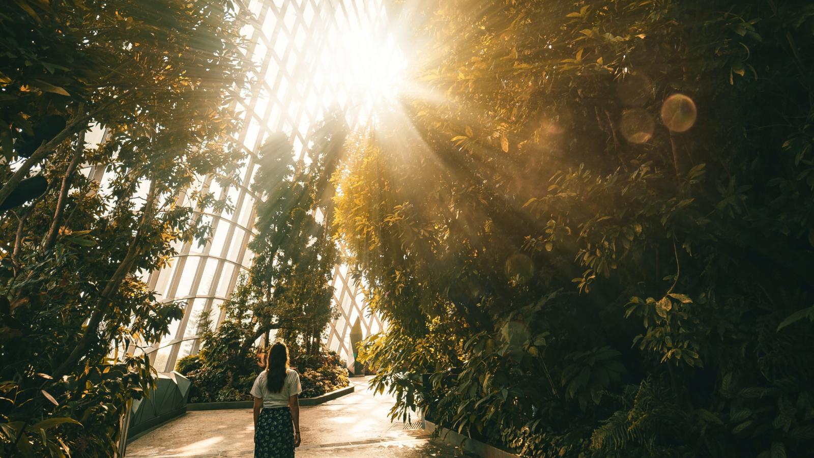Scaling Impactful Climate Technology with Alternative Funding