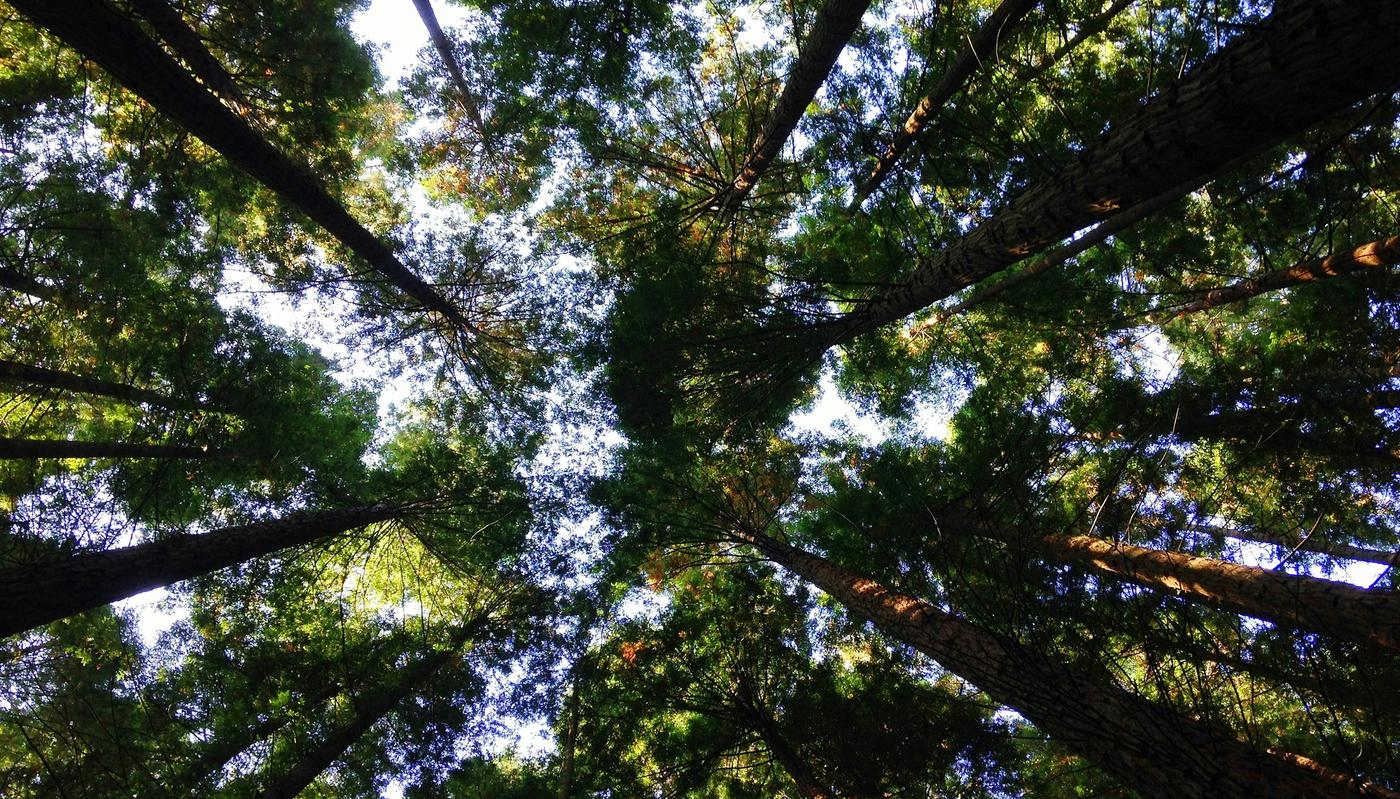 How SecondMuse Capital is Designing Financial Products for Climate Solutions