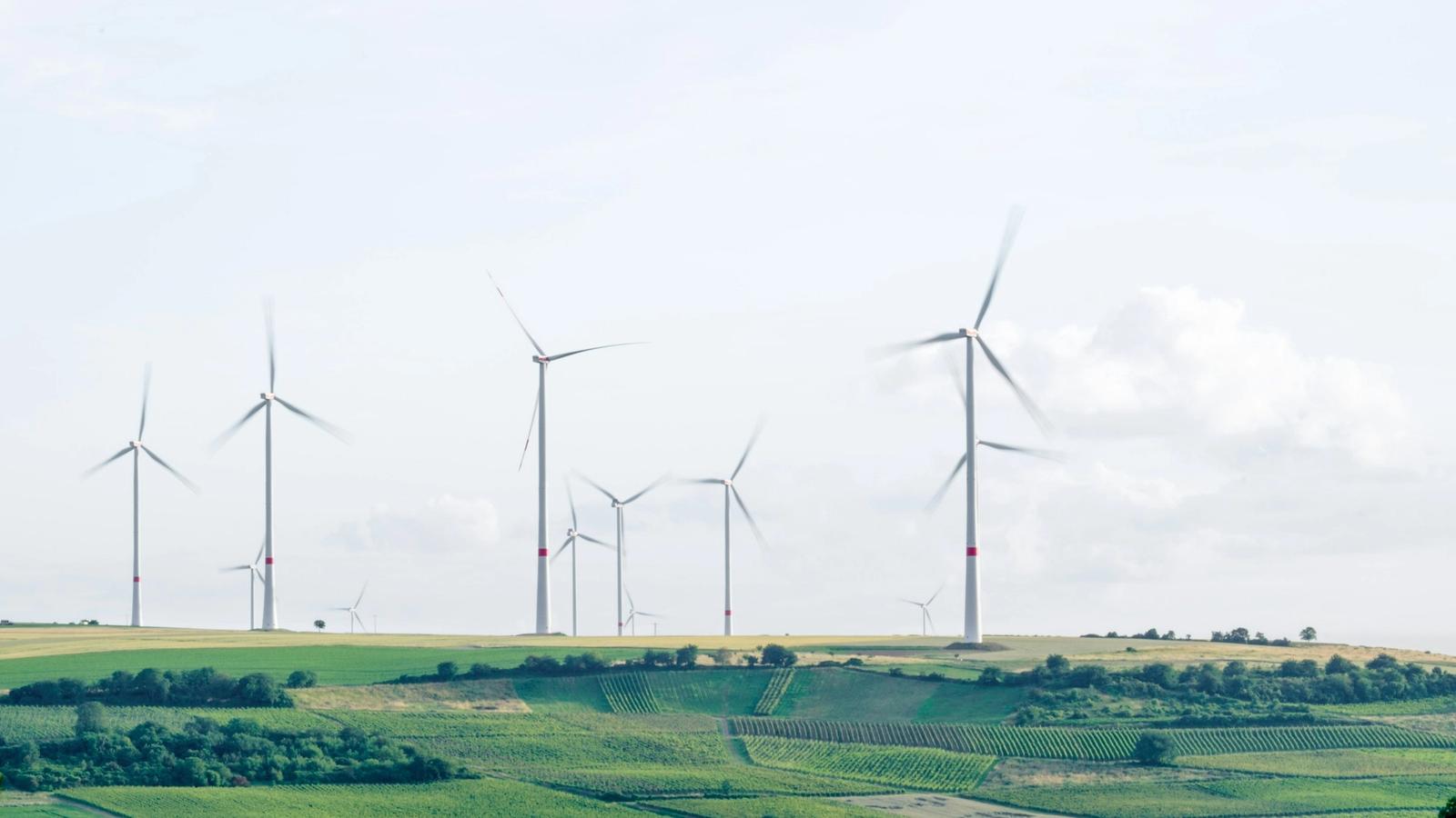 Upcoming Climate Conferences: Highlights of 2024