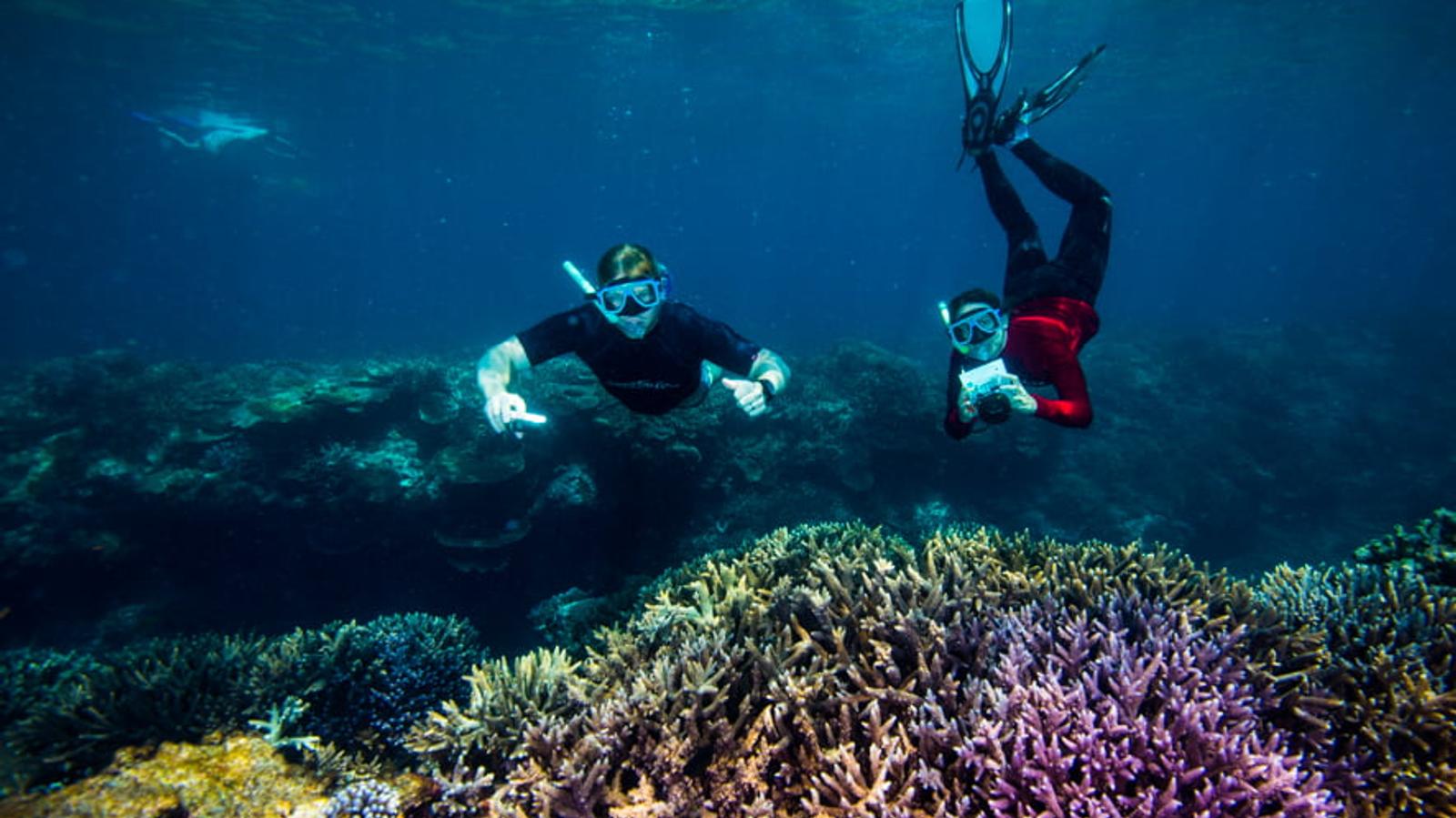 Out of the Box Solutions to Barrier Reef Destruction Live On