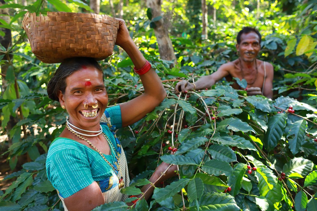 Food System Vision Prize